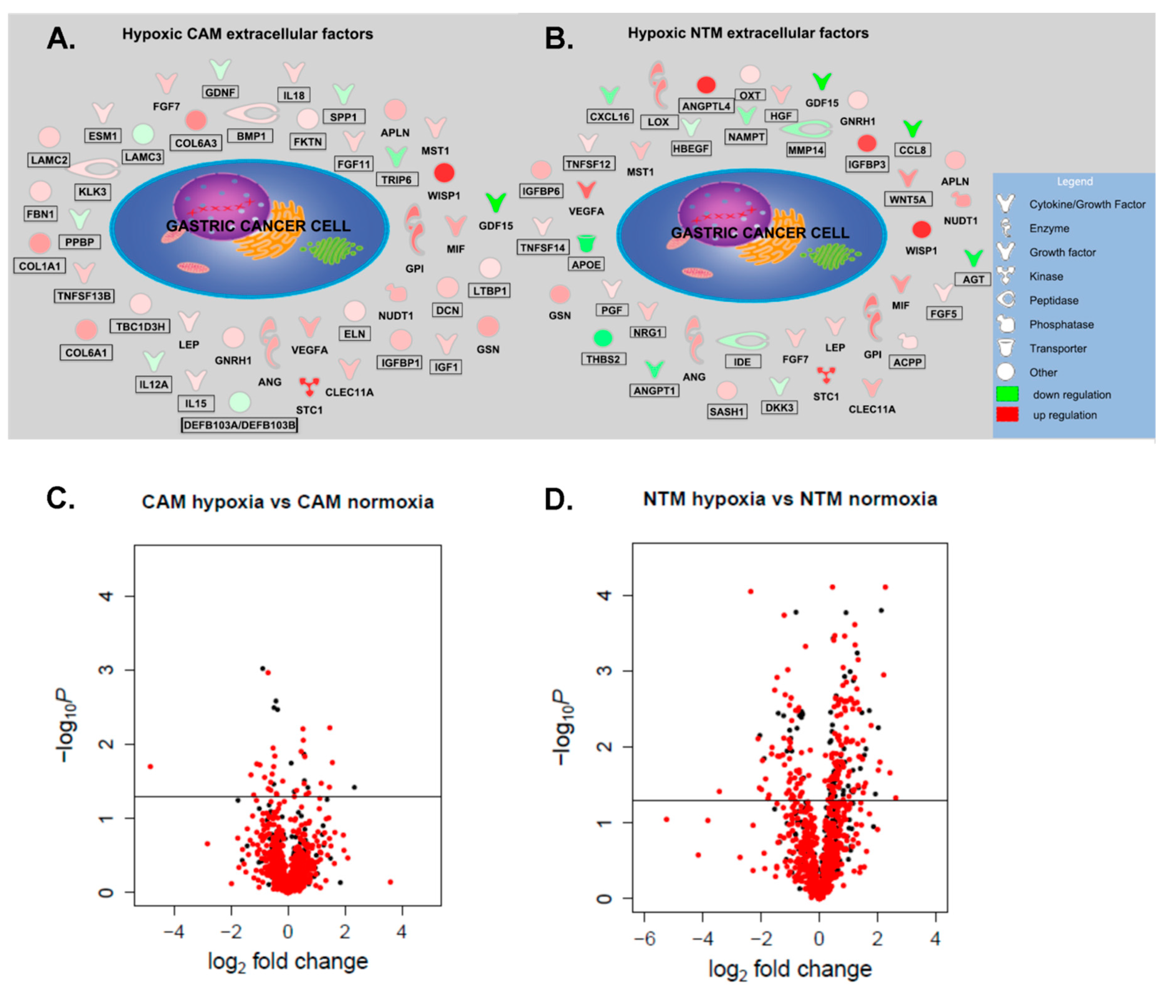 Cancers 11 00263 g004