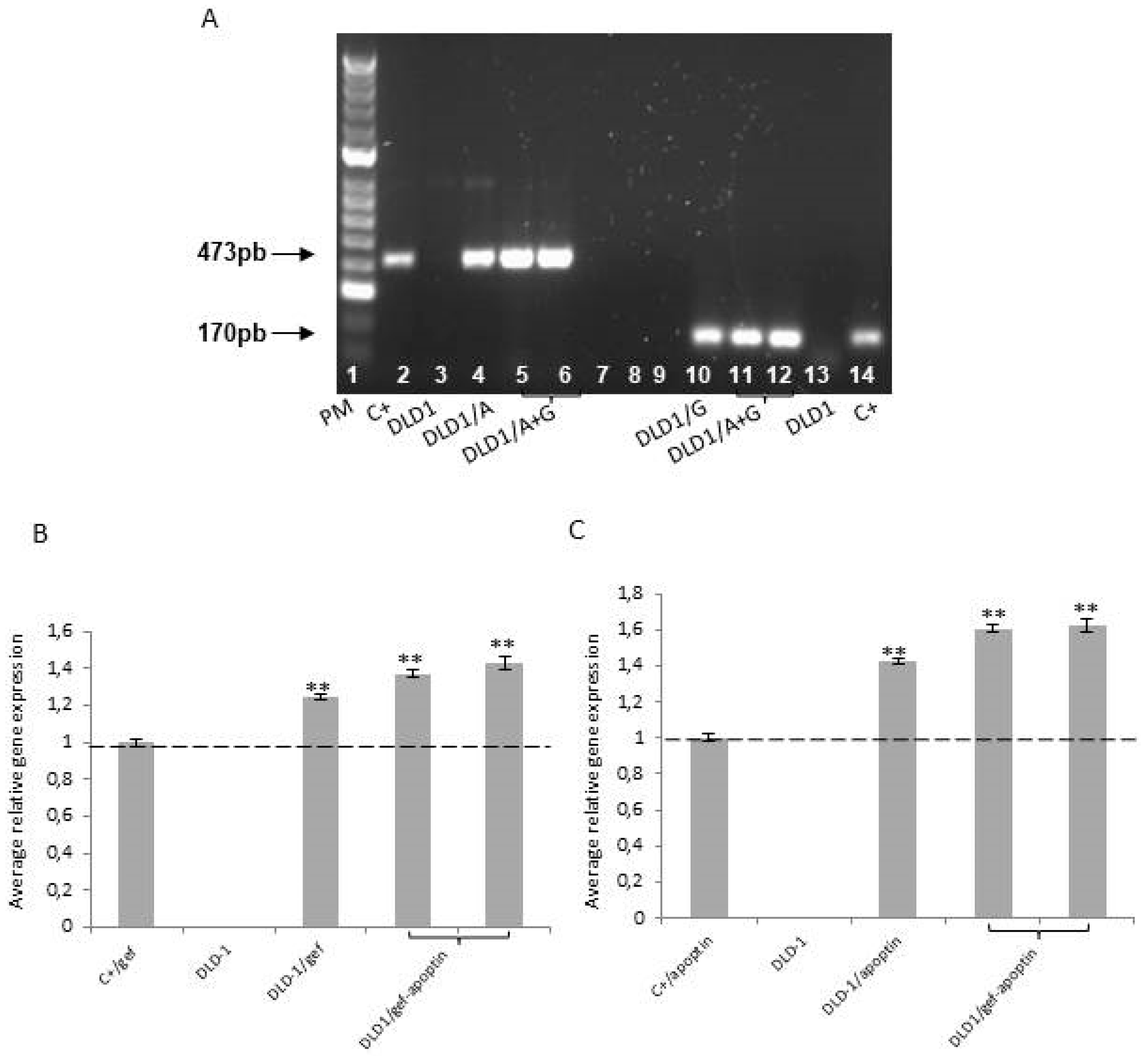 Cancers 11 00264 g001