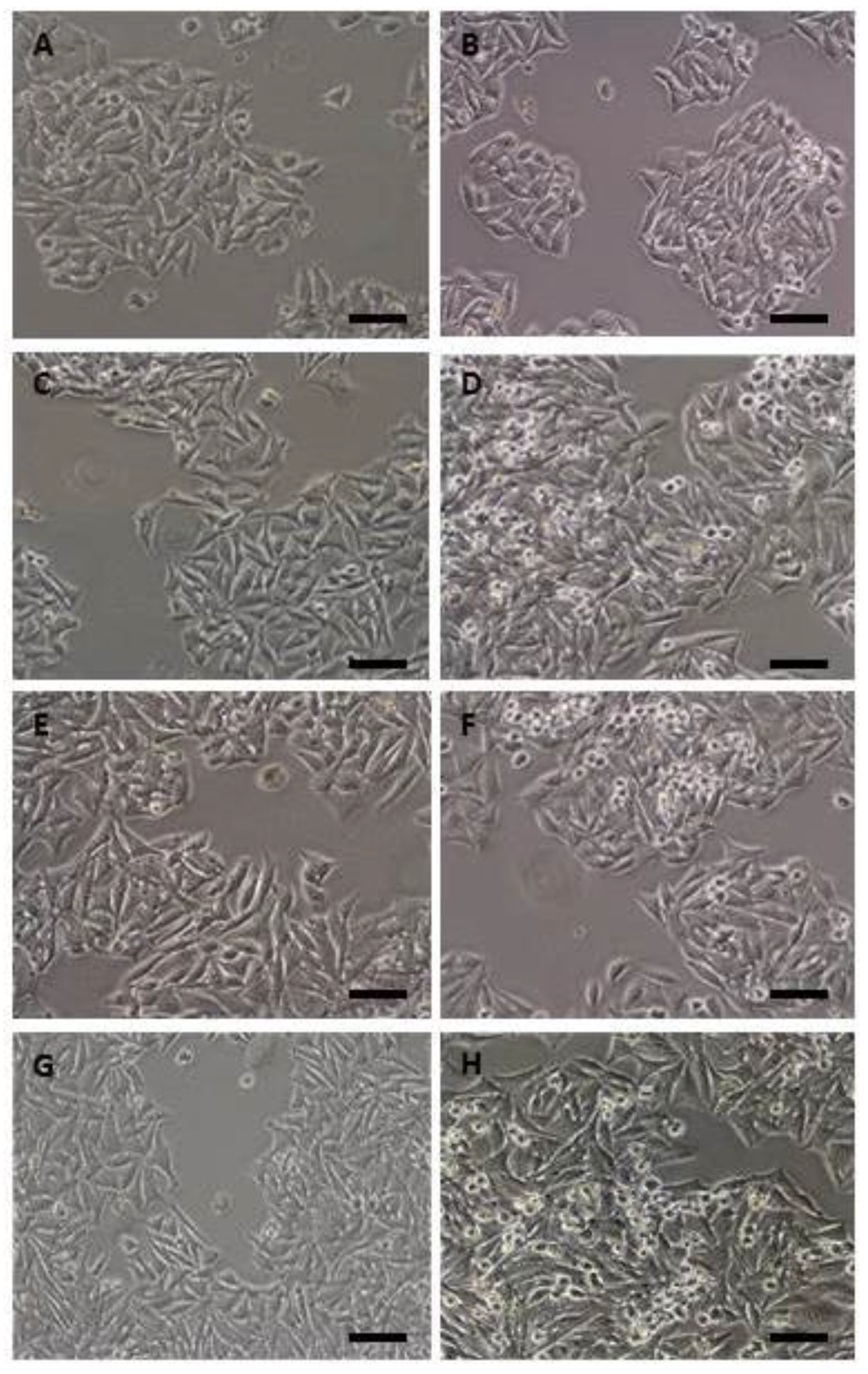 Cancers 11 00264 g002