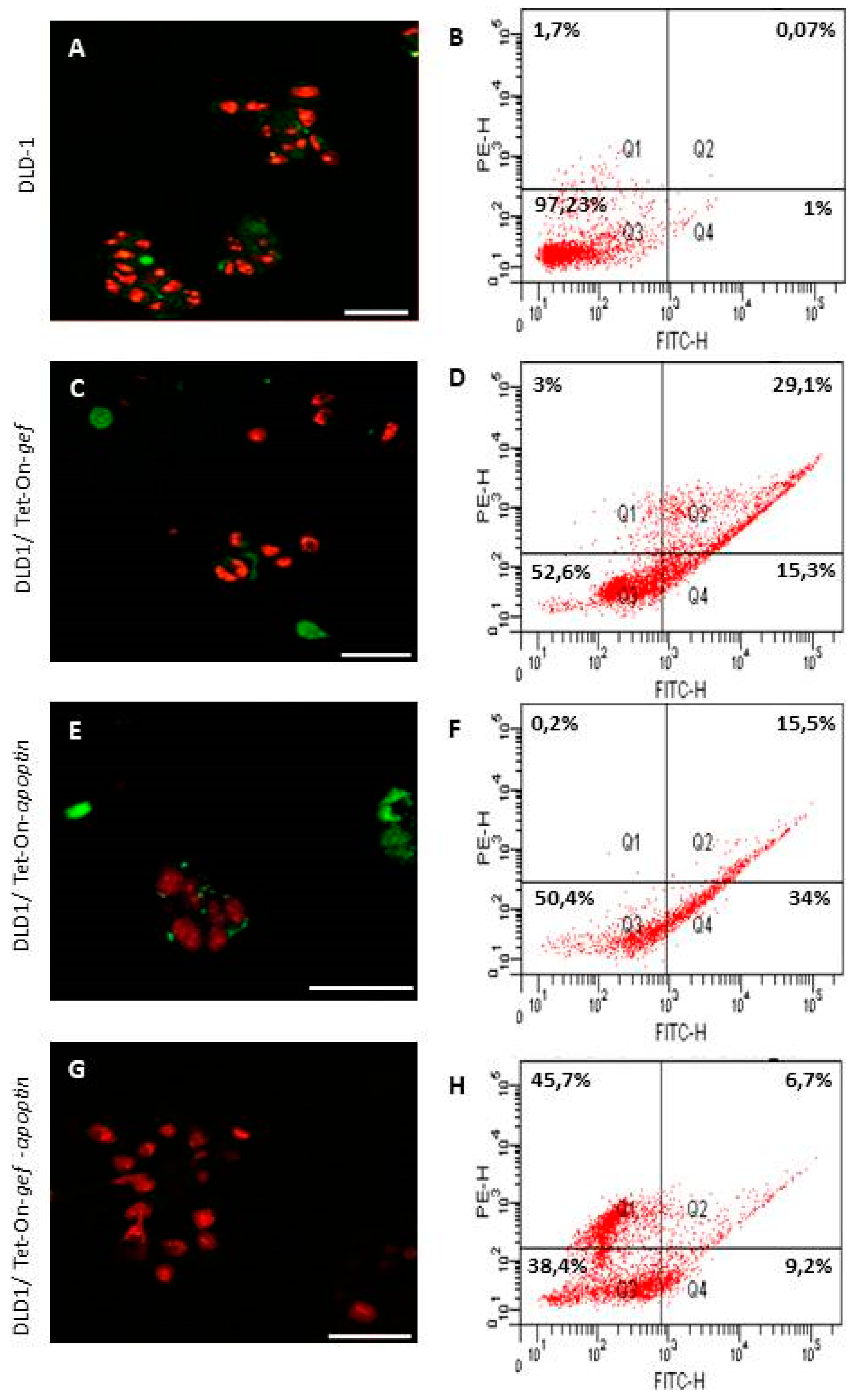 Cancers 11 00264 g004