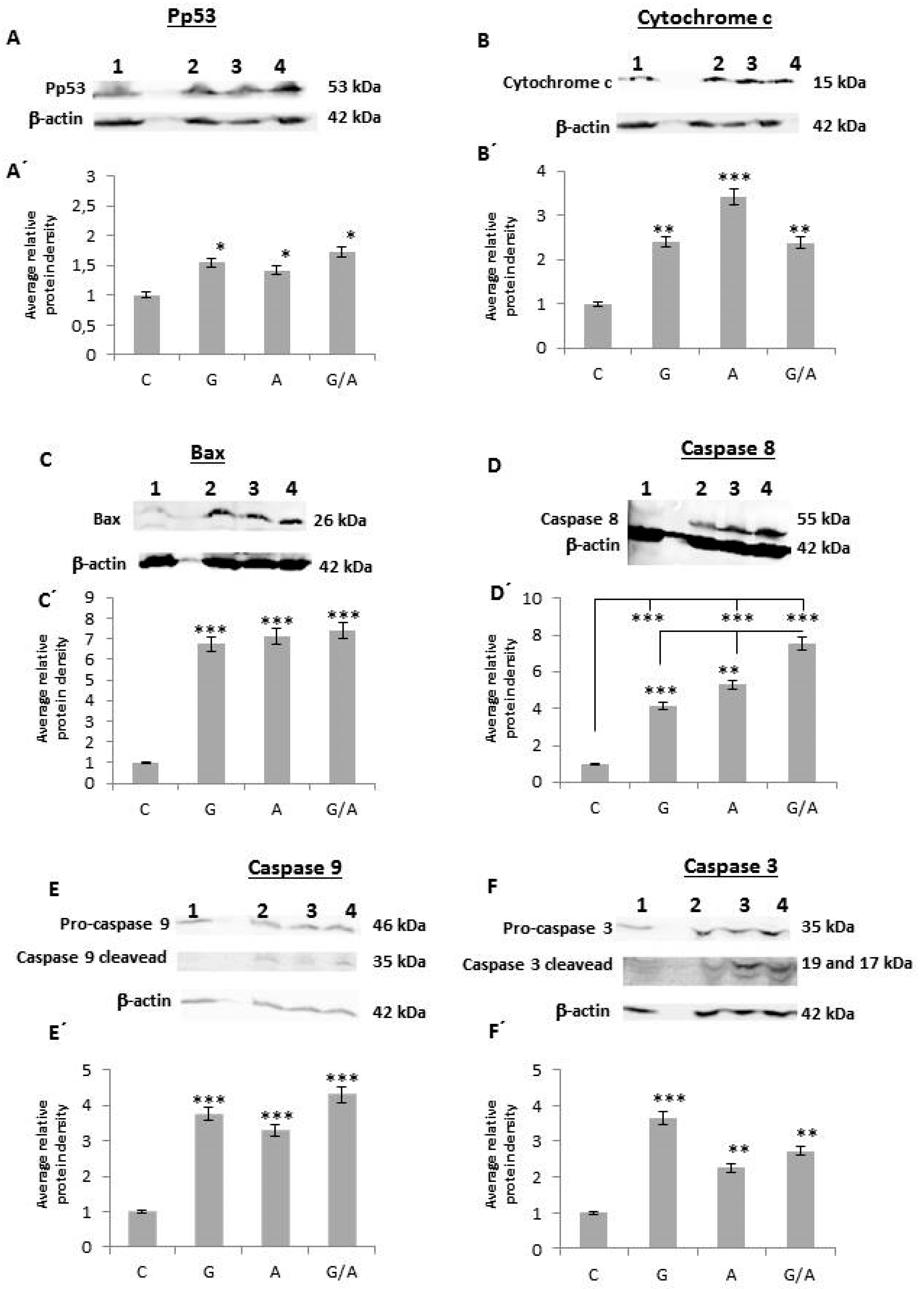 Cancers 11 00264 g005
