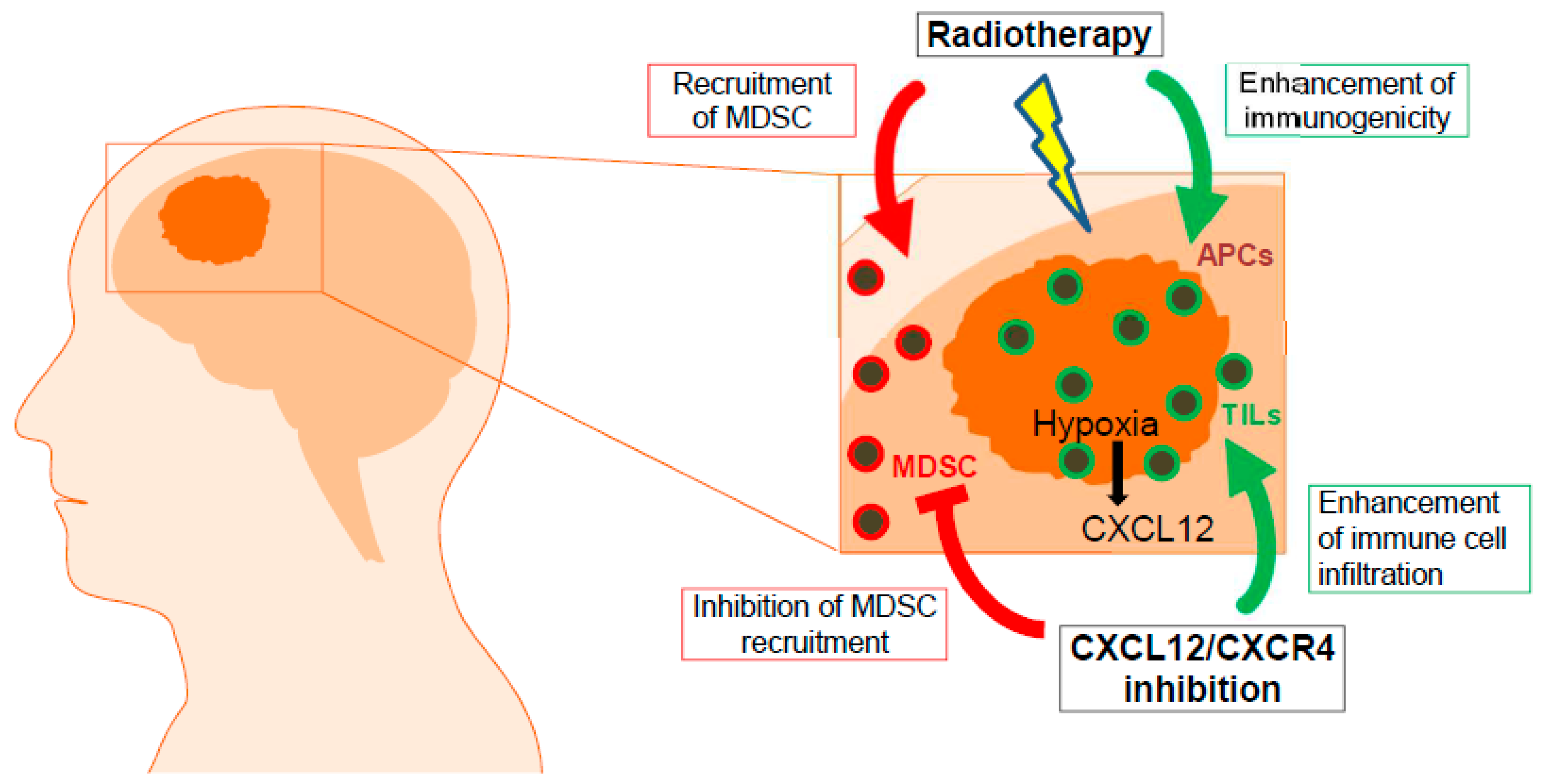 Cancers 11 00272 g001