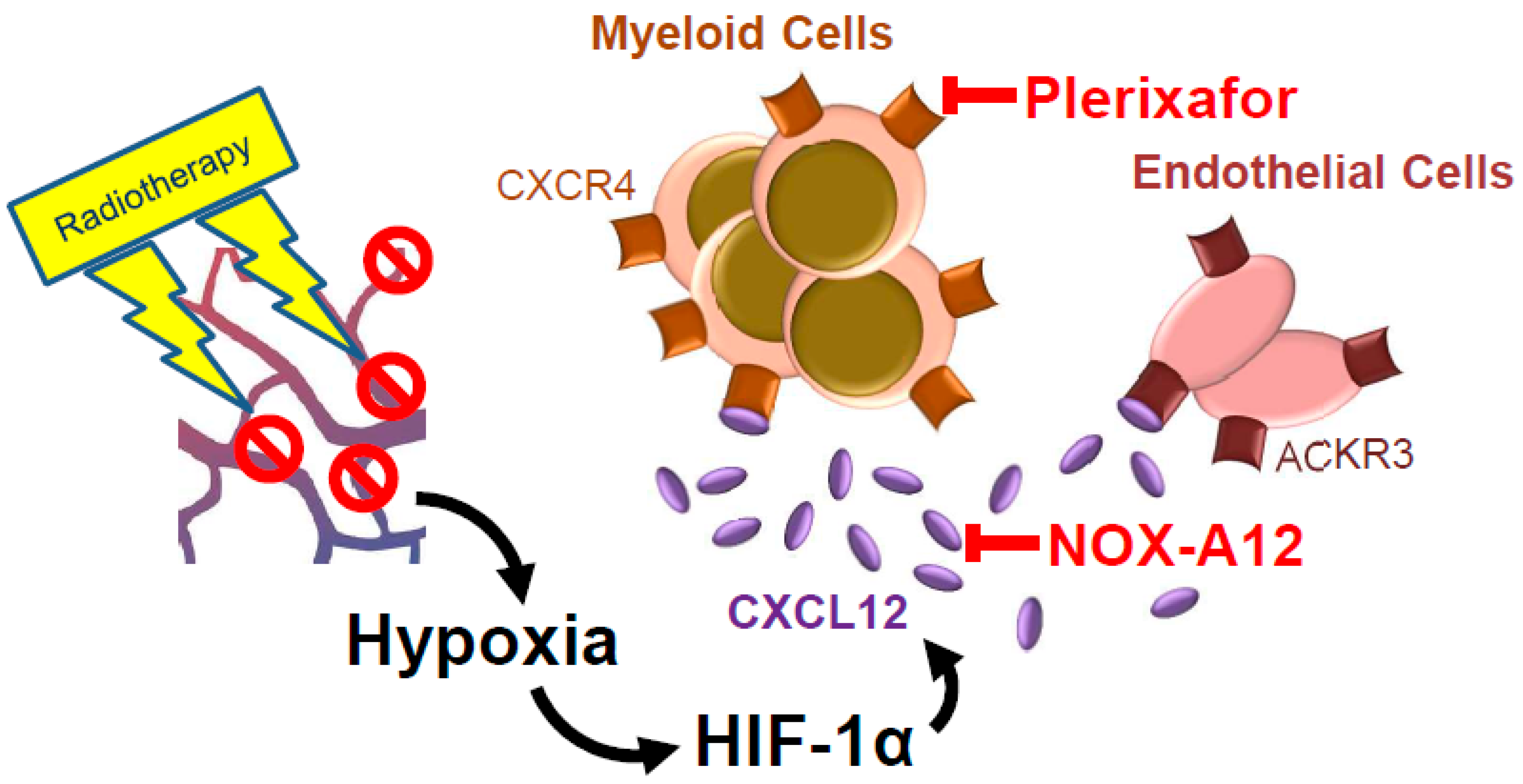 Cancers 11 00272 g002