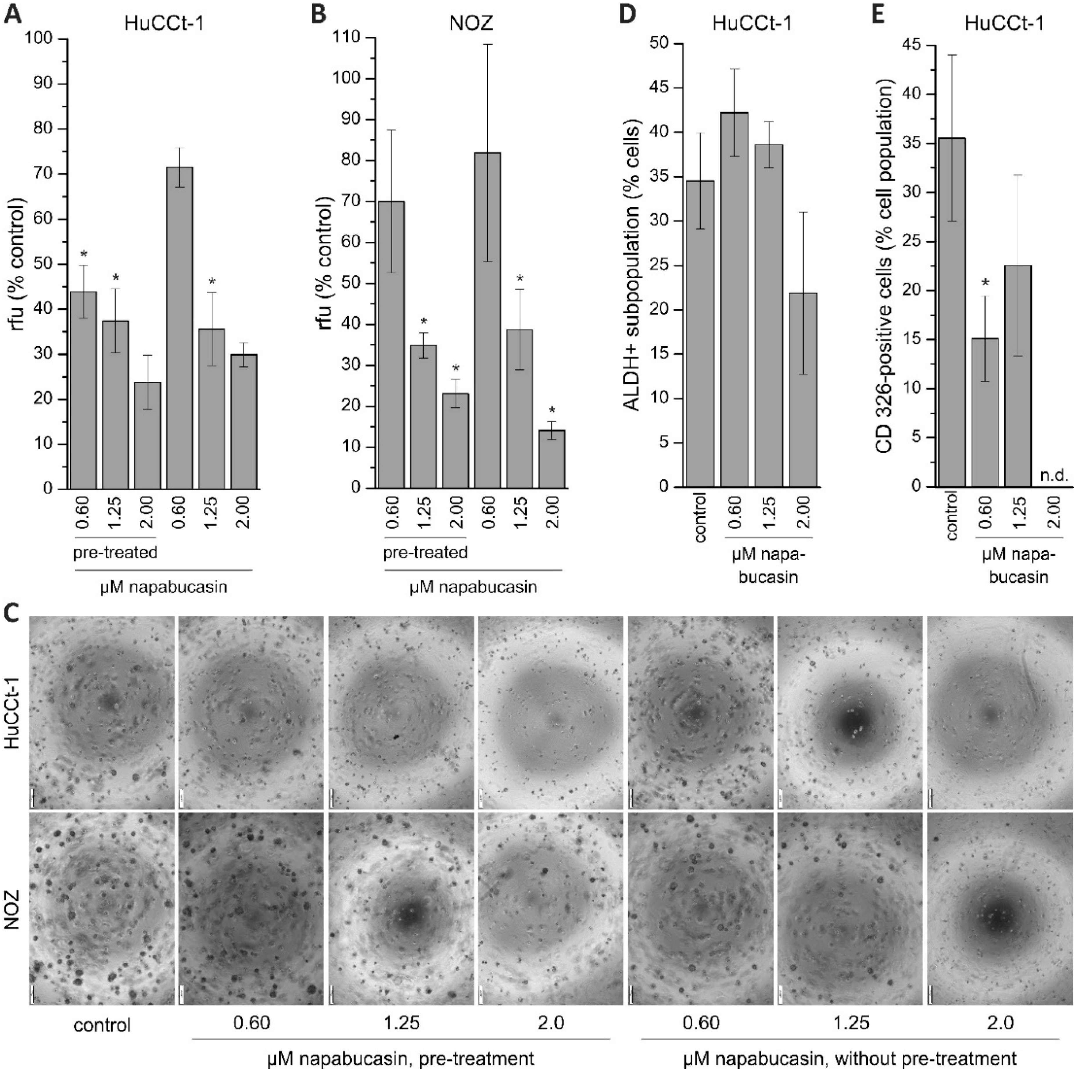 Cancers 11 00276 g003 Cancers 11 00276 g003
