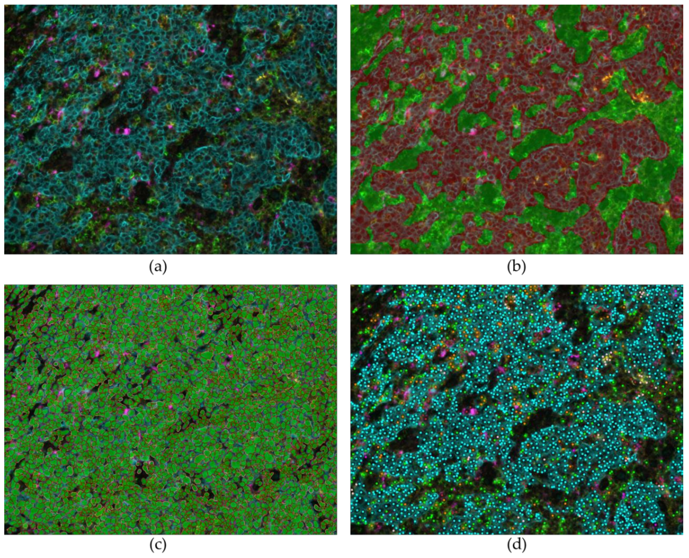 Cancers 11 00283 g008