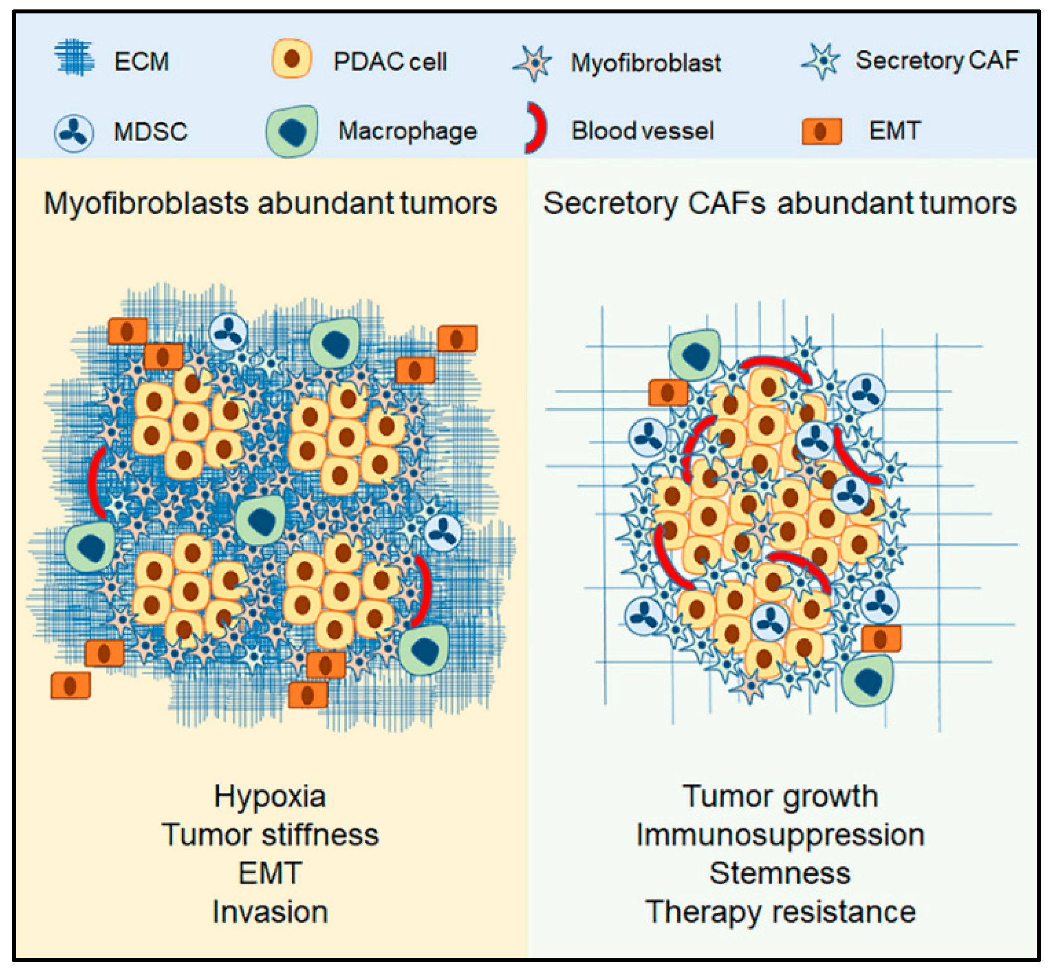 Cancers 11 00290 g002