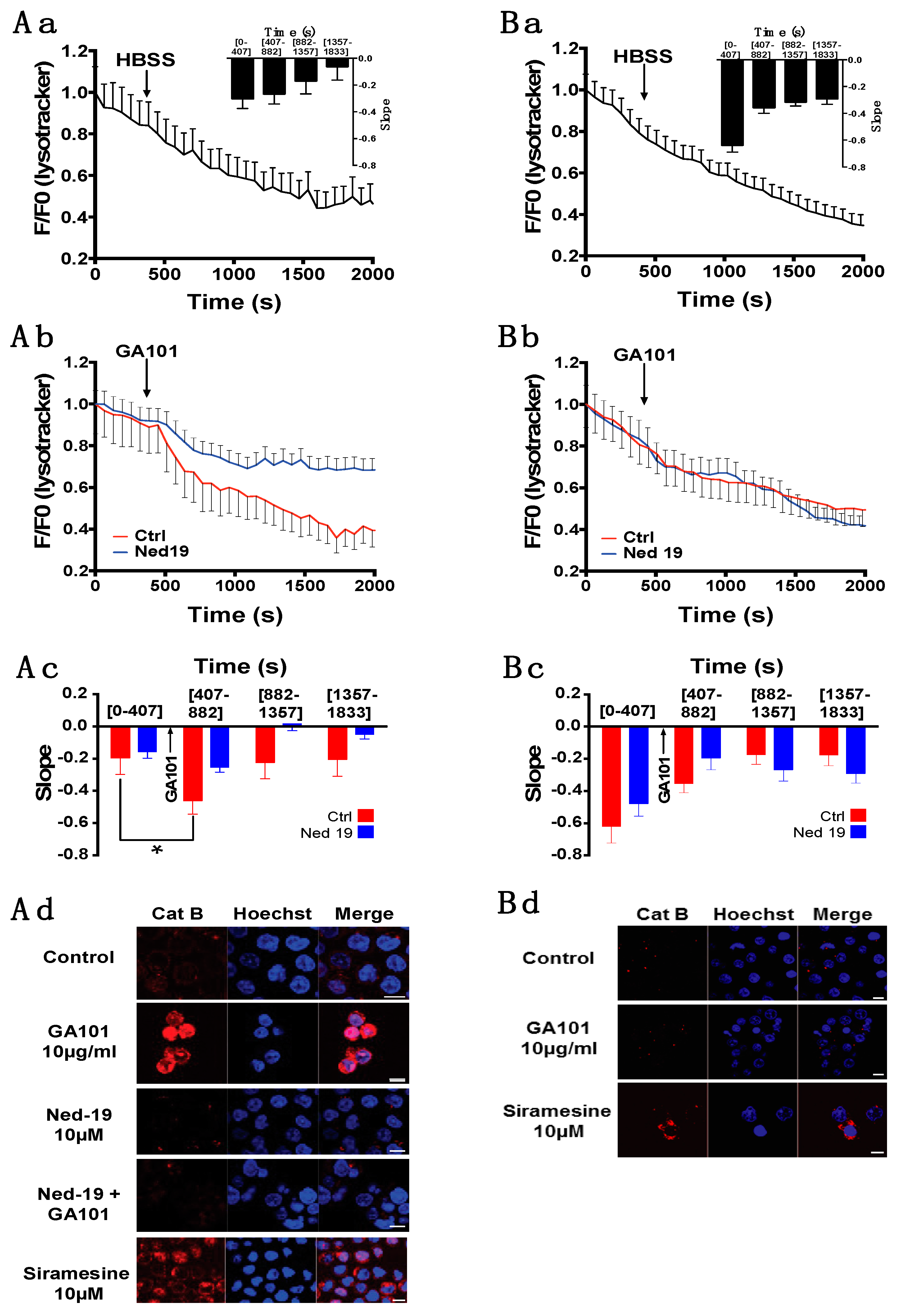 Cancers 11 00291 g004a