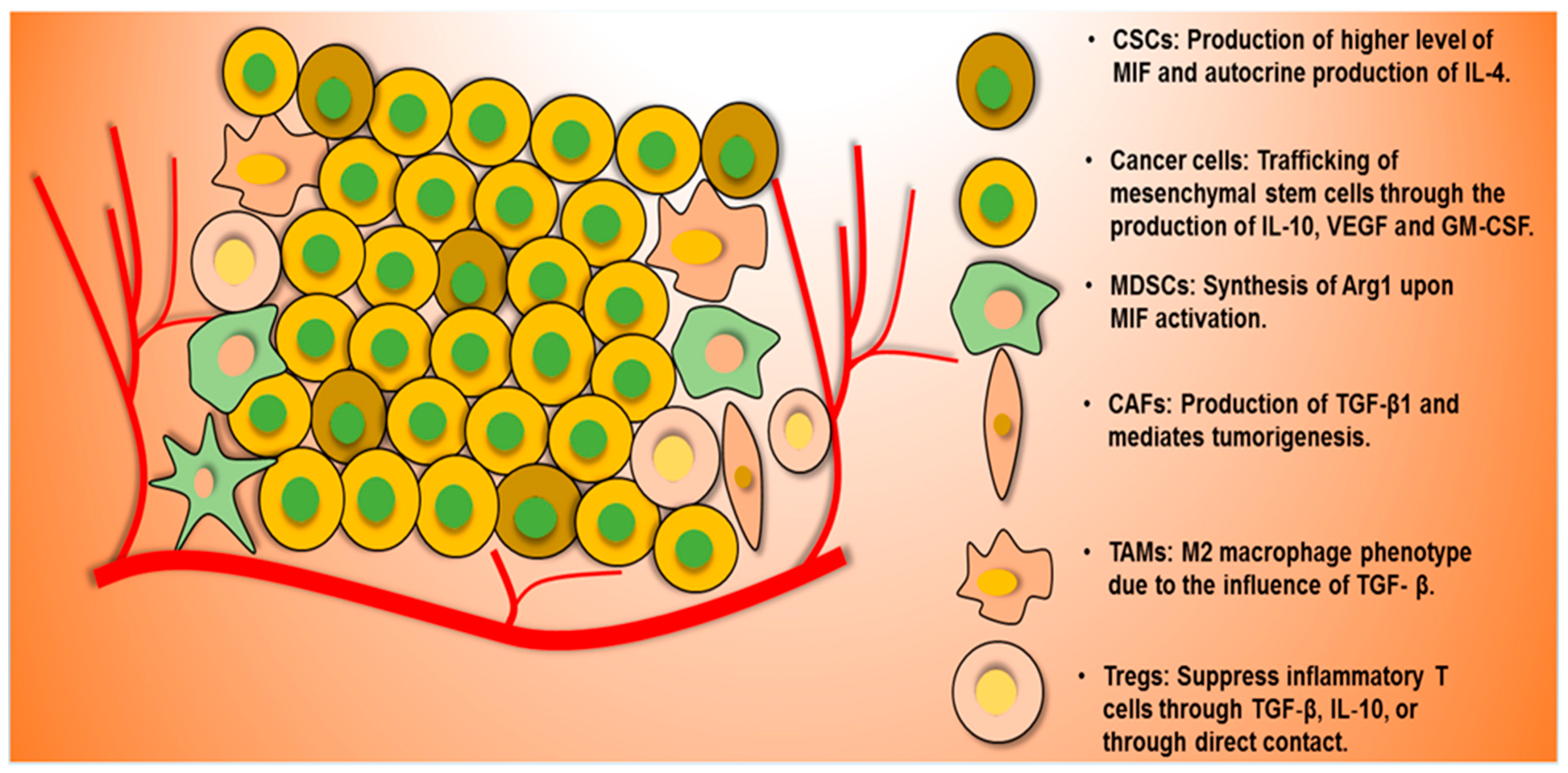 Cancers 11 00310 g001
