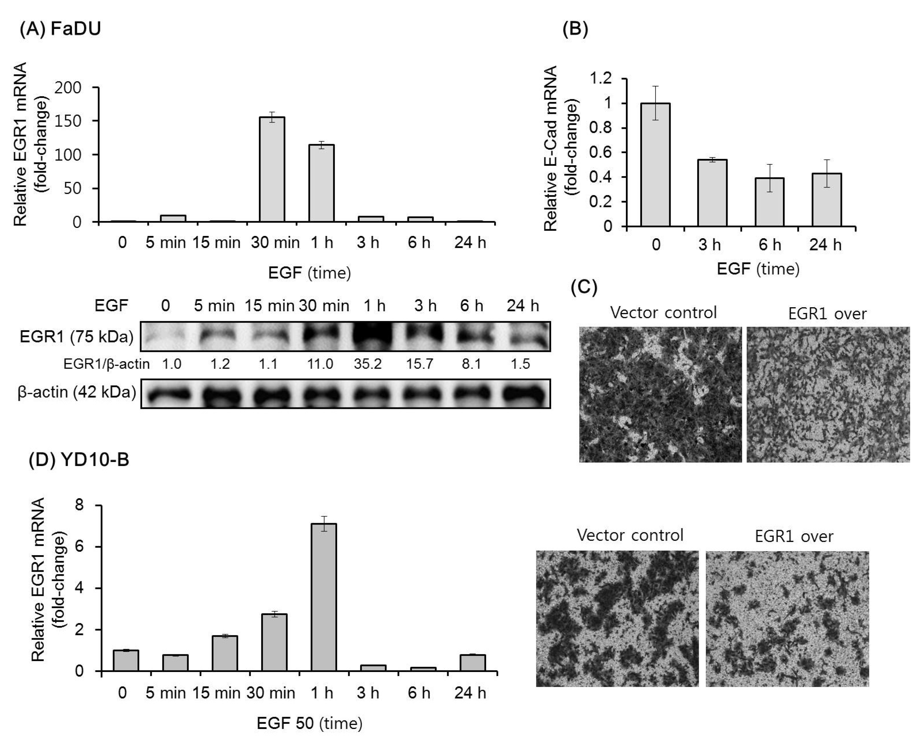 Cancers 11 00315 g001