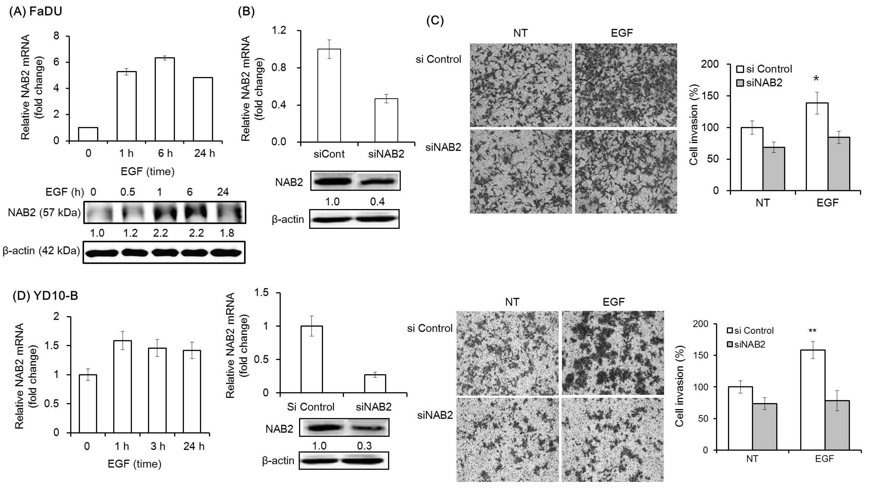 Cancers 11 00315 g002