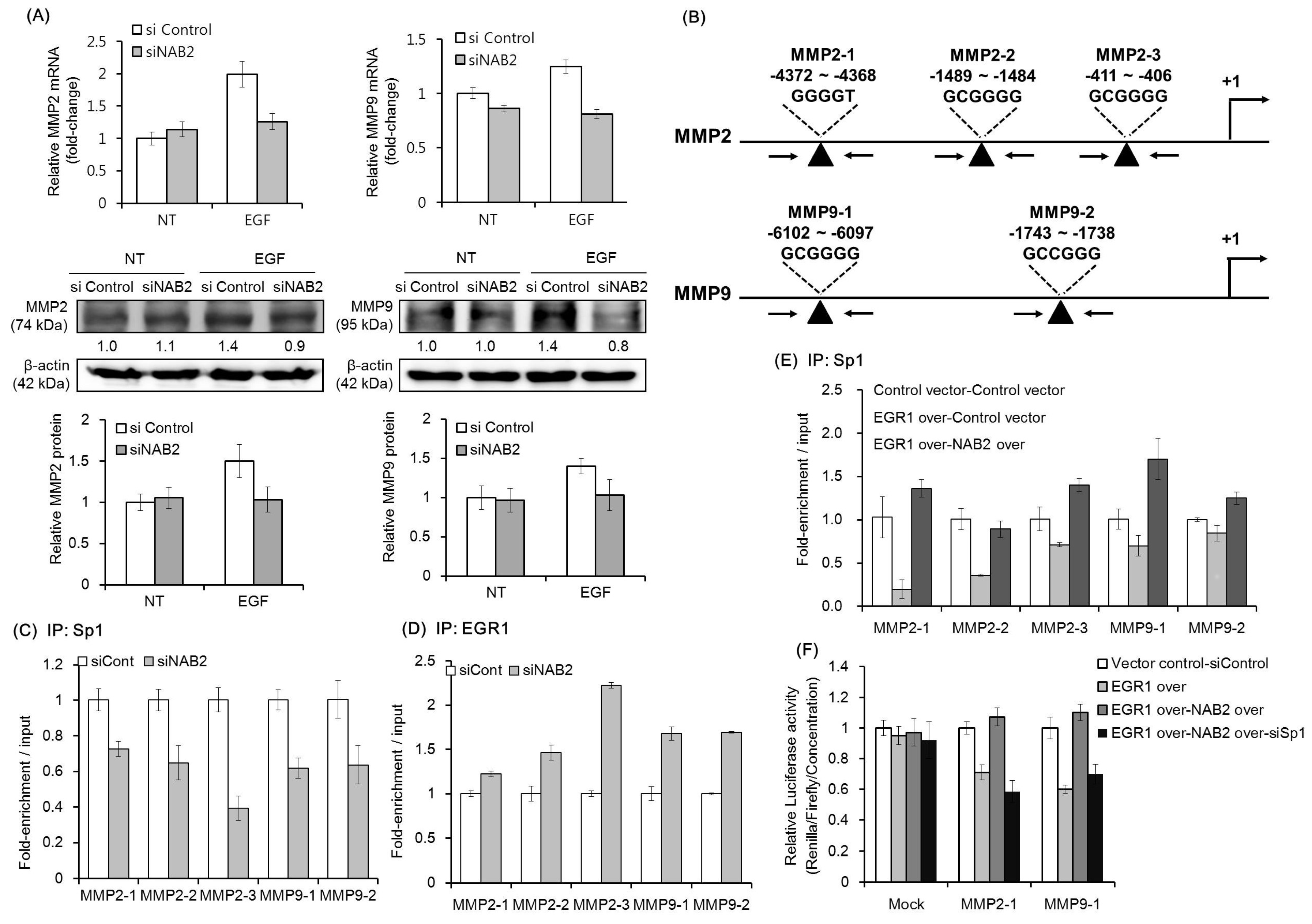 Cancers 11 00315 g004