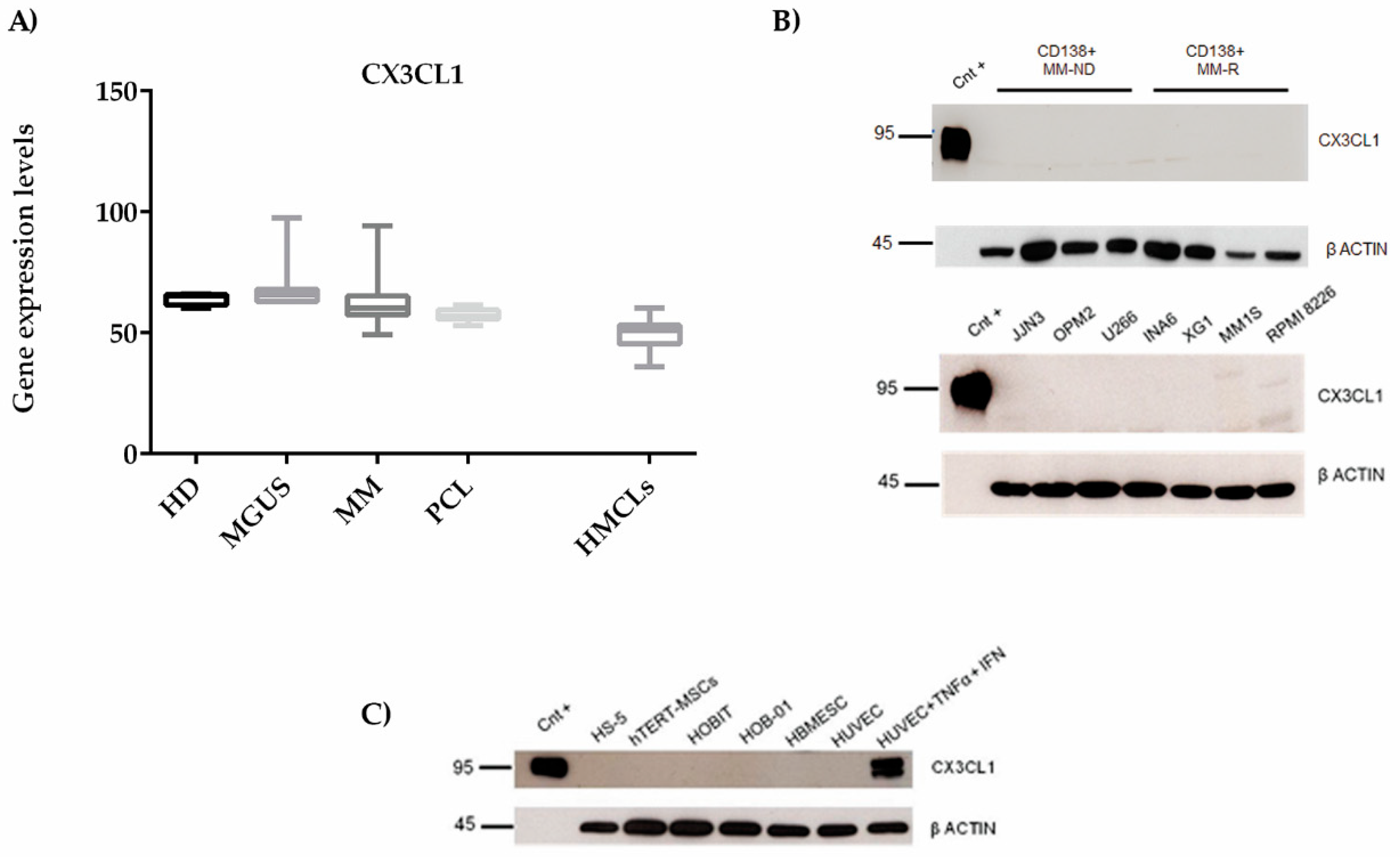 Cancers 11 00321 g003