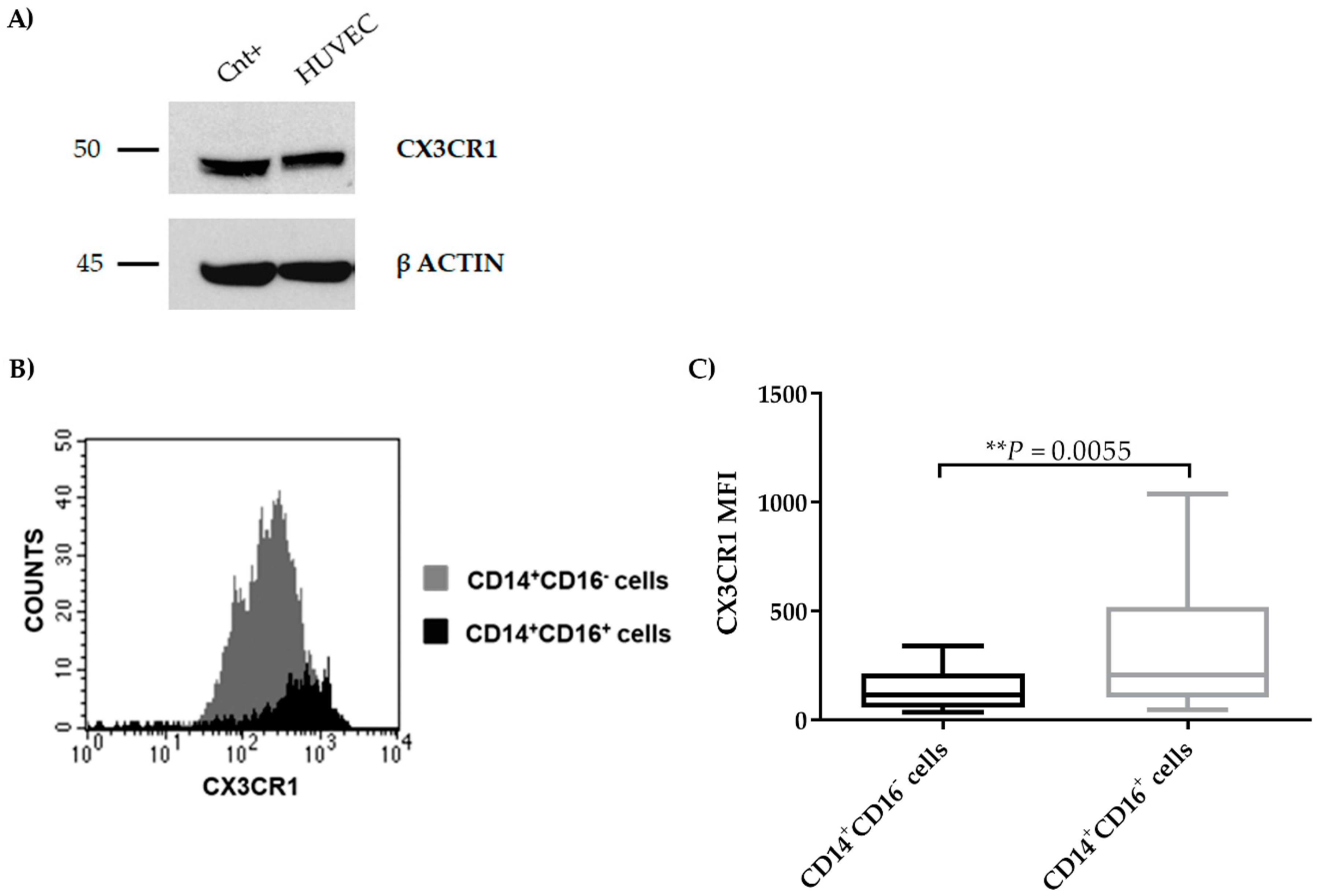Cancers 11 00321 g005