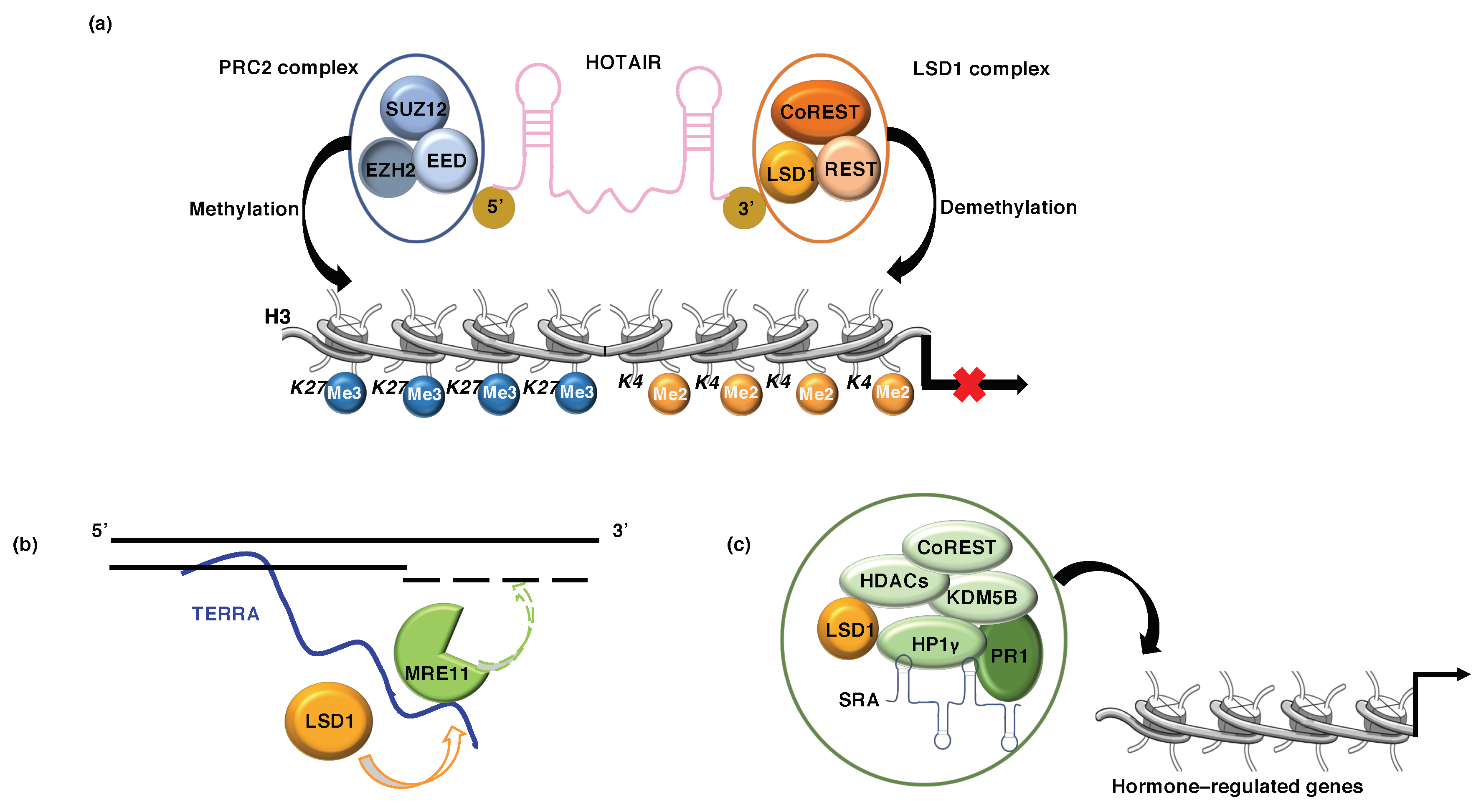 Cancers 11 00324 g004 Cancers 11 00324 g004