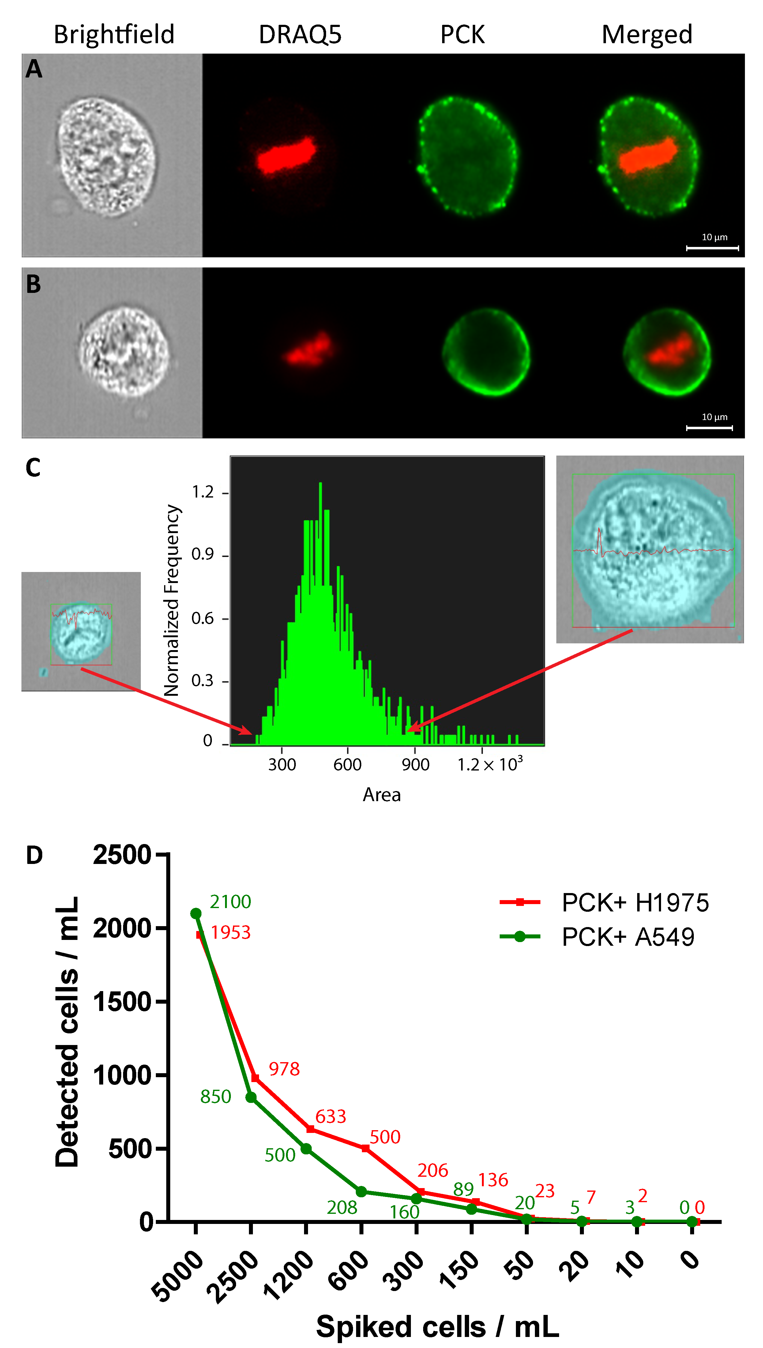 Cancers 11 00331 g001