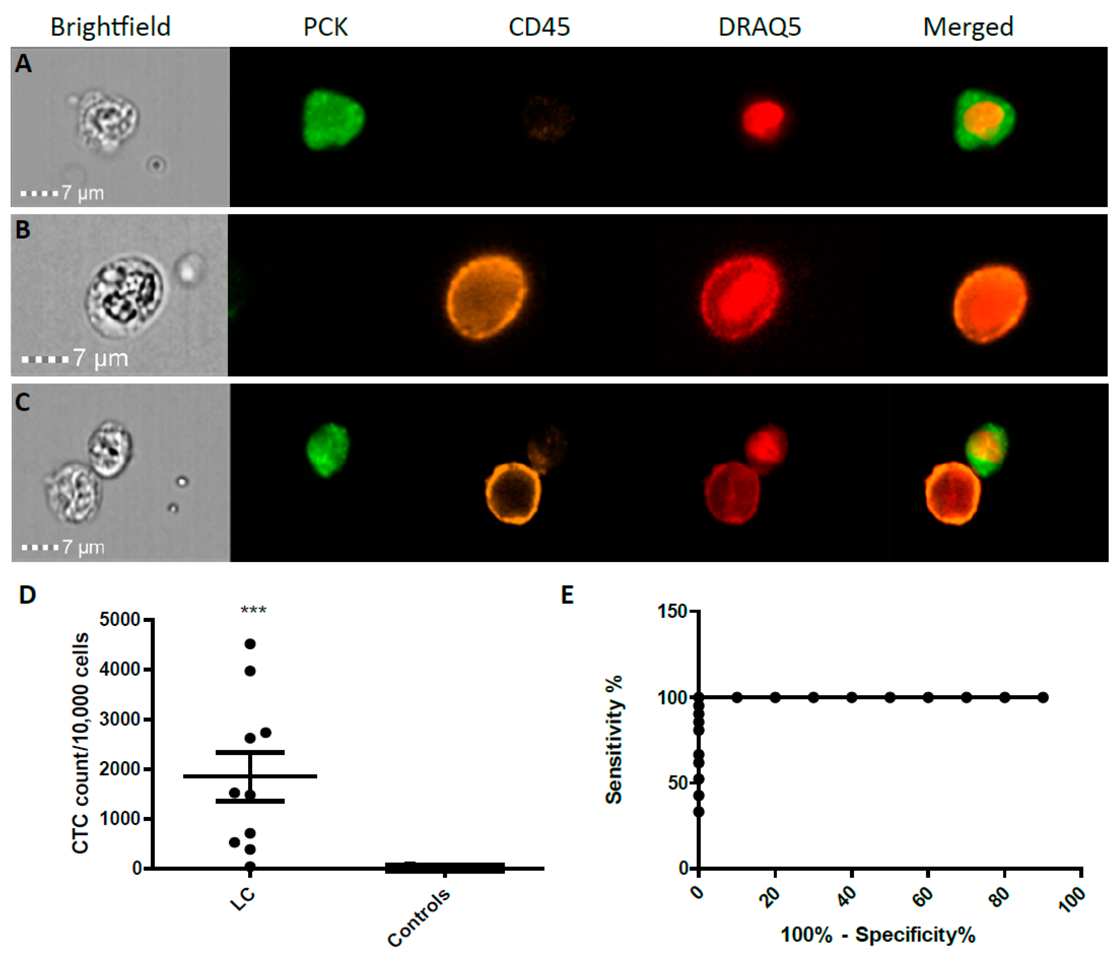Cancers 11 00331 g002