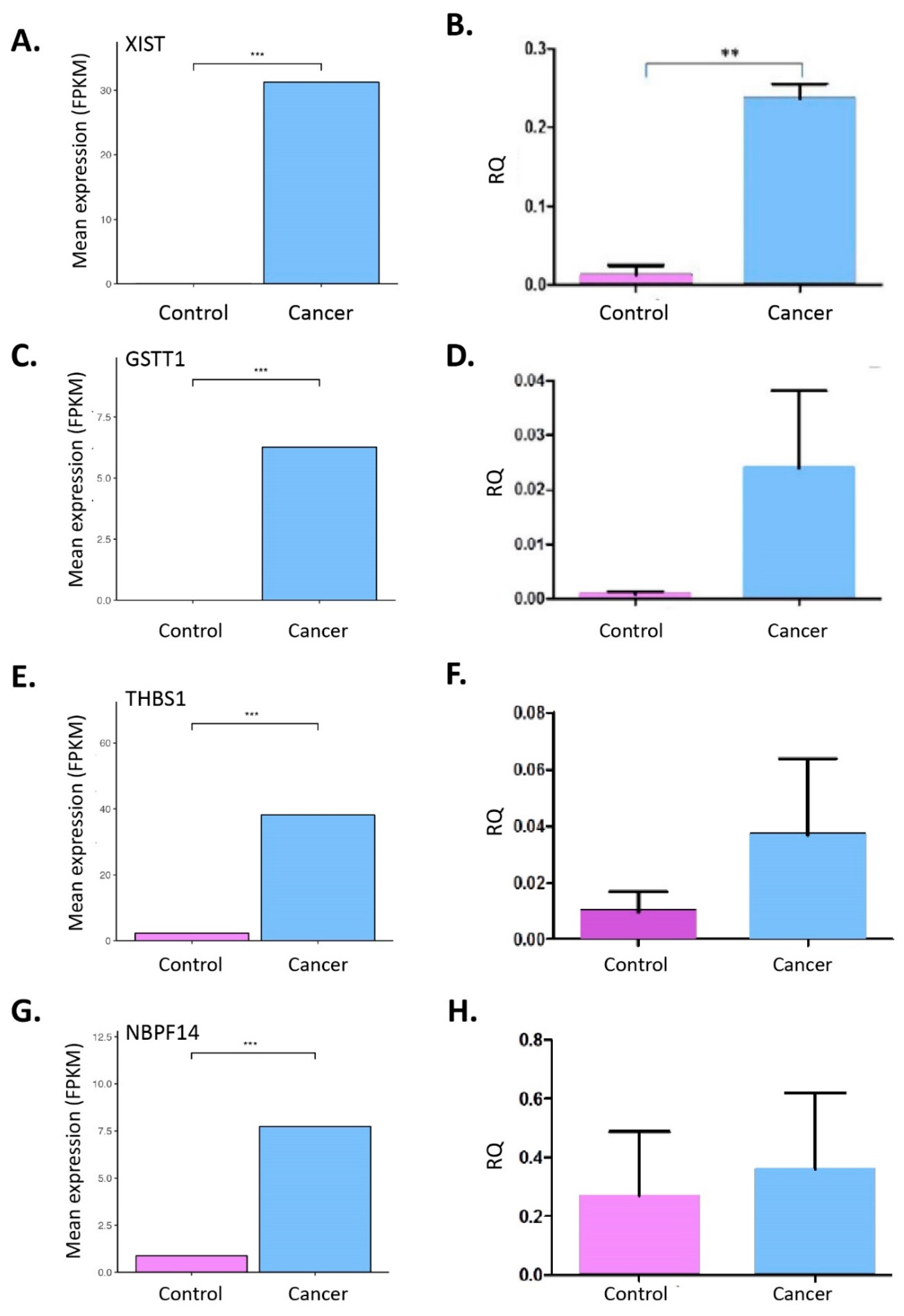 Cancers 11 00331 g004