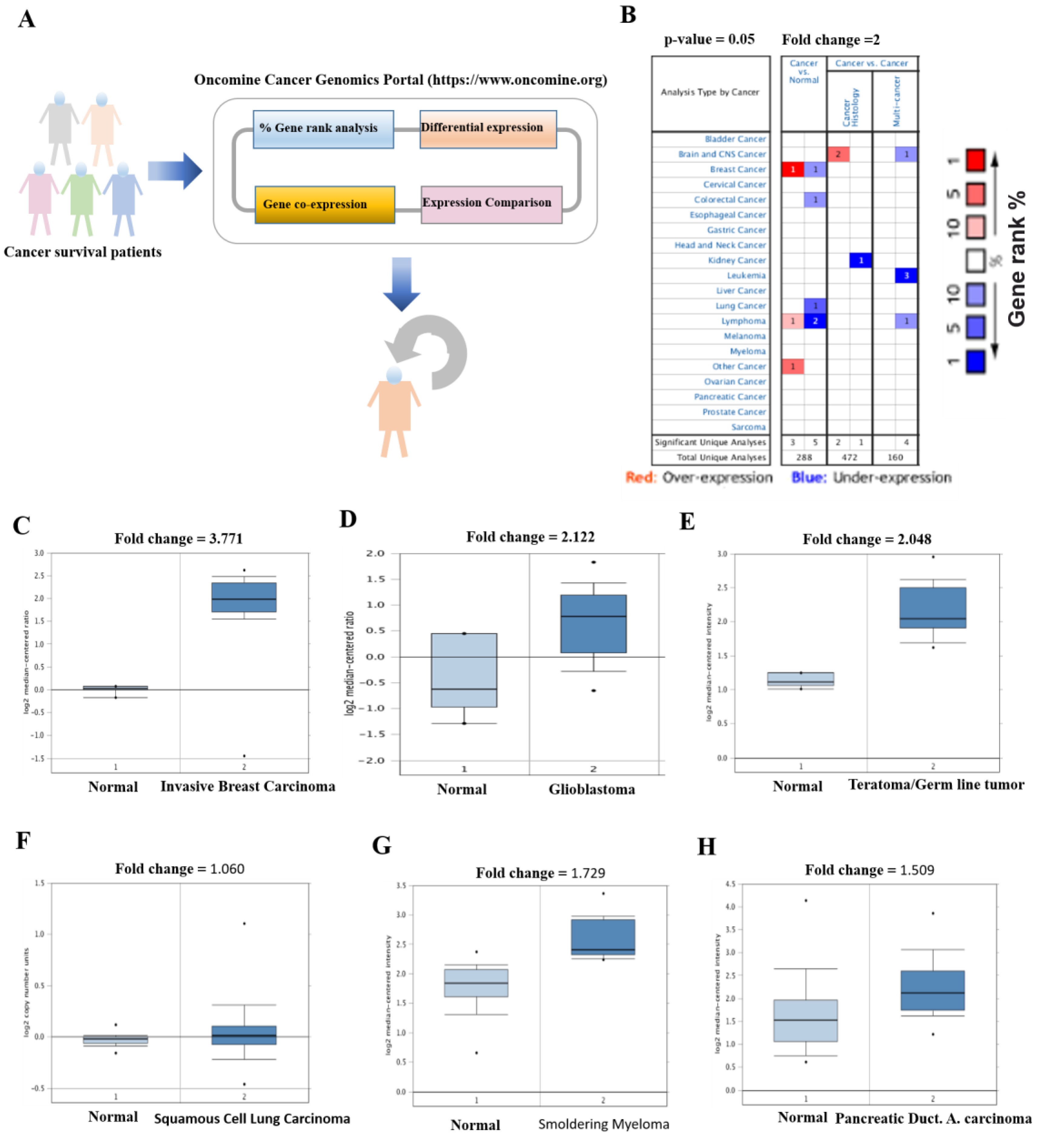 Cancers 11 00337 g002