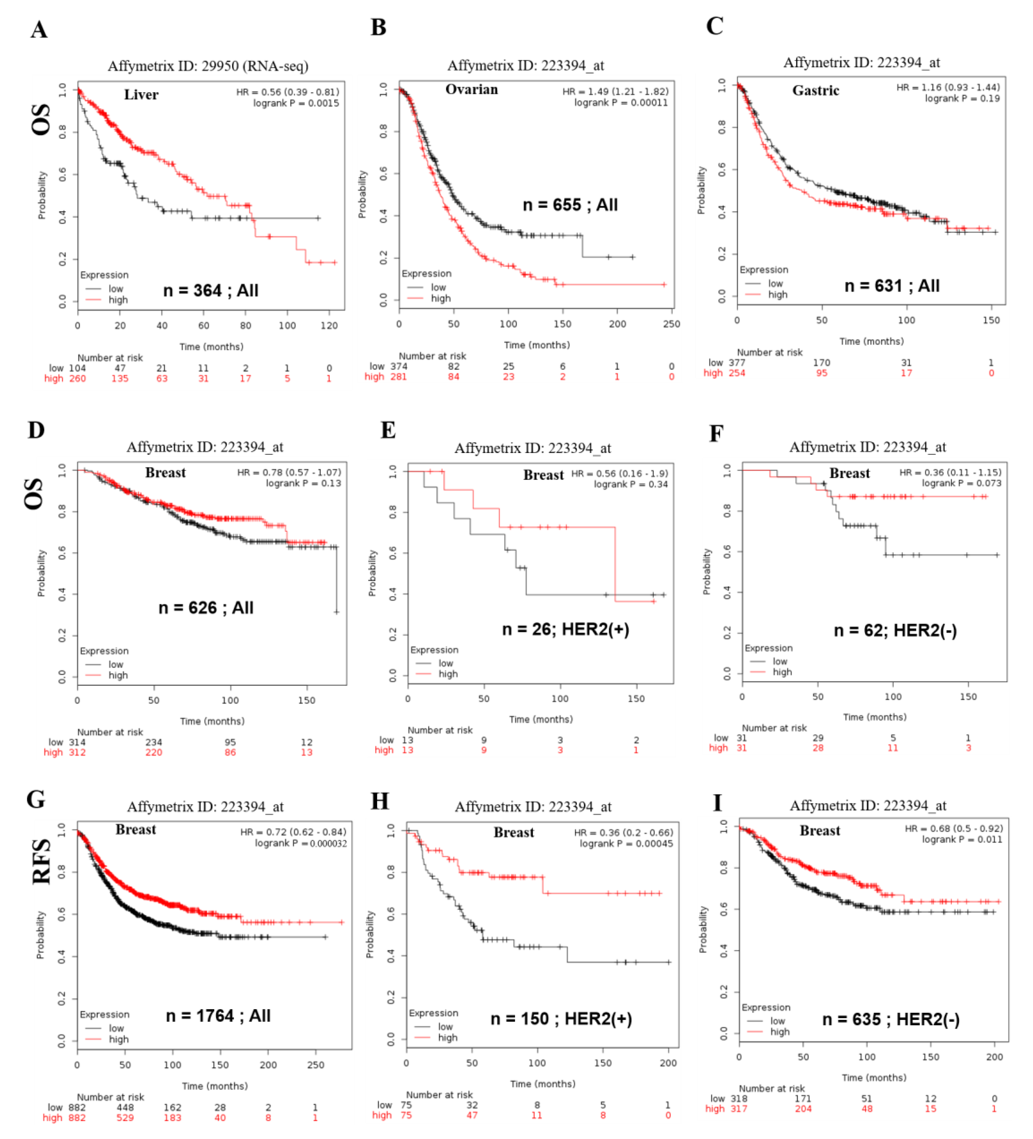 Cancers 11 00337 g003