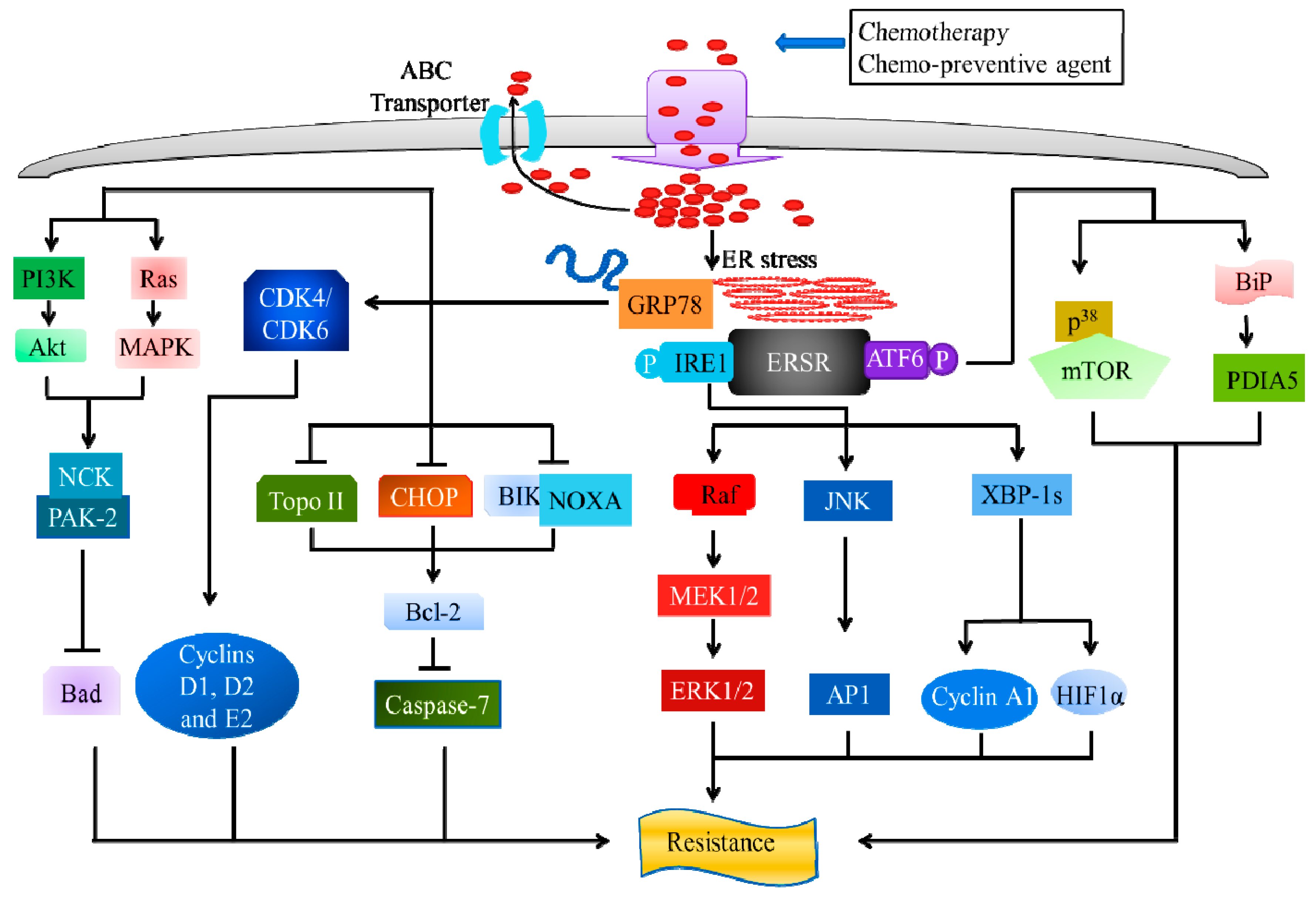 Cancers 11 00338 g004