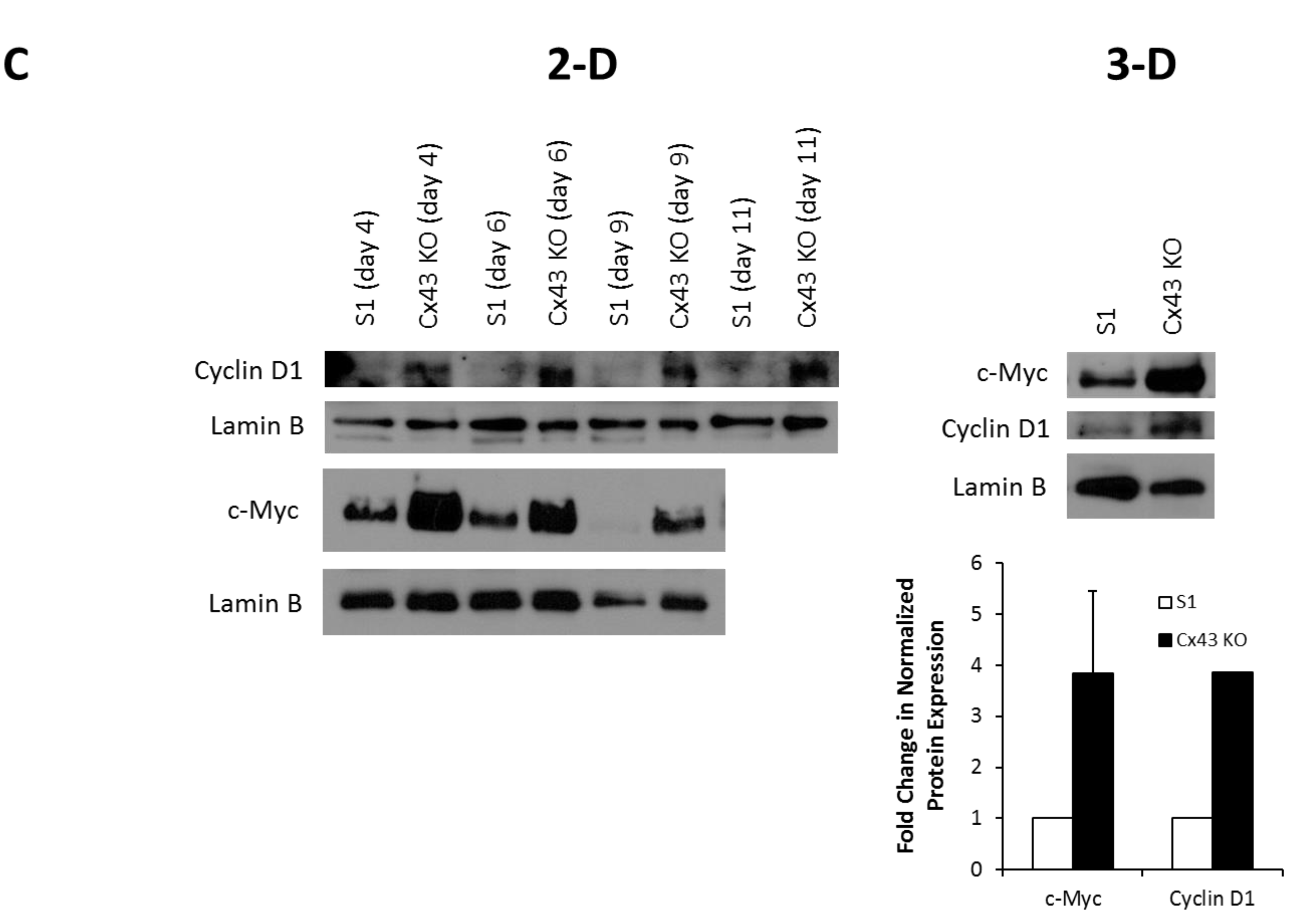 Cancers 11 00339 g002b