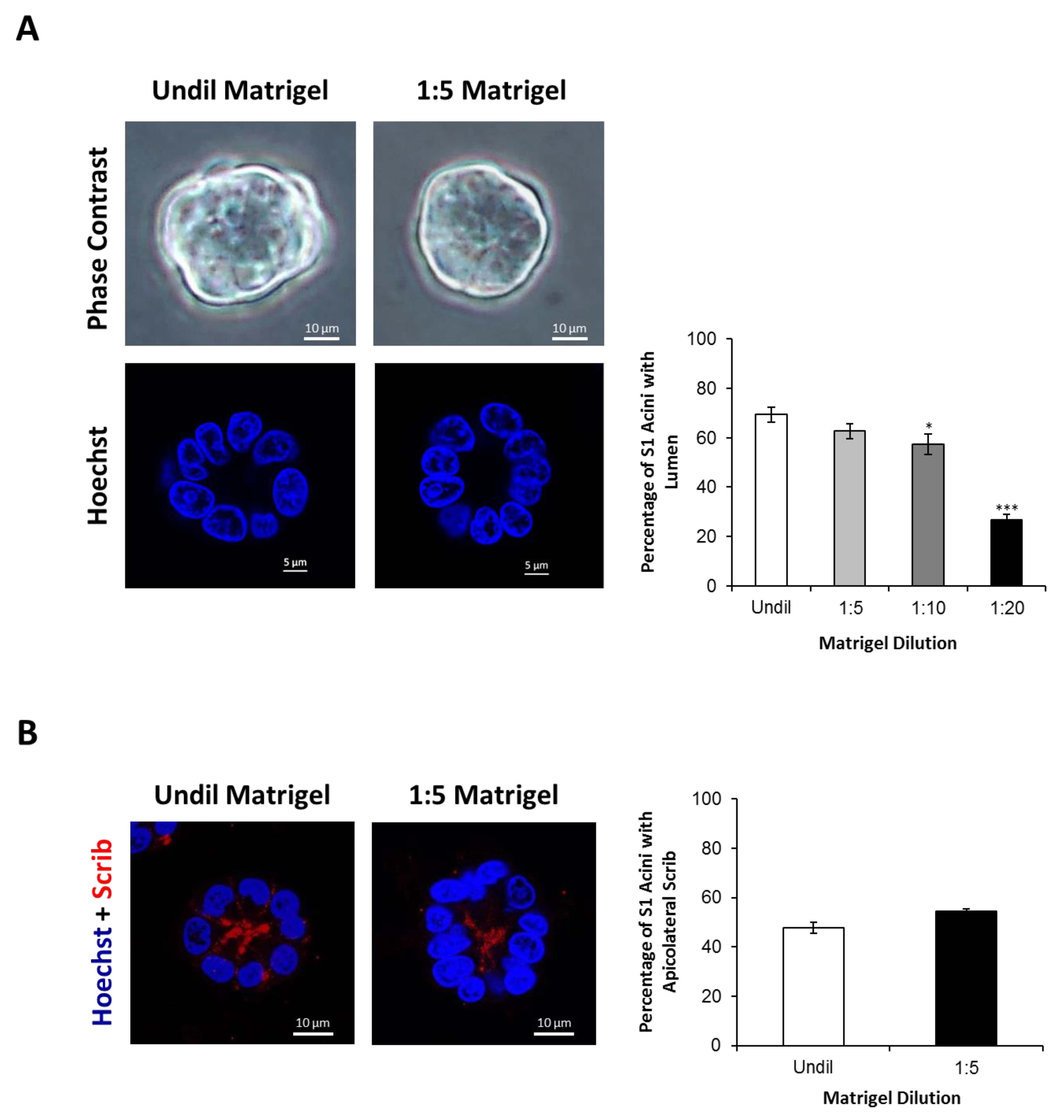 Cancers 11 00339 g007