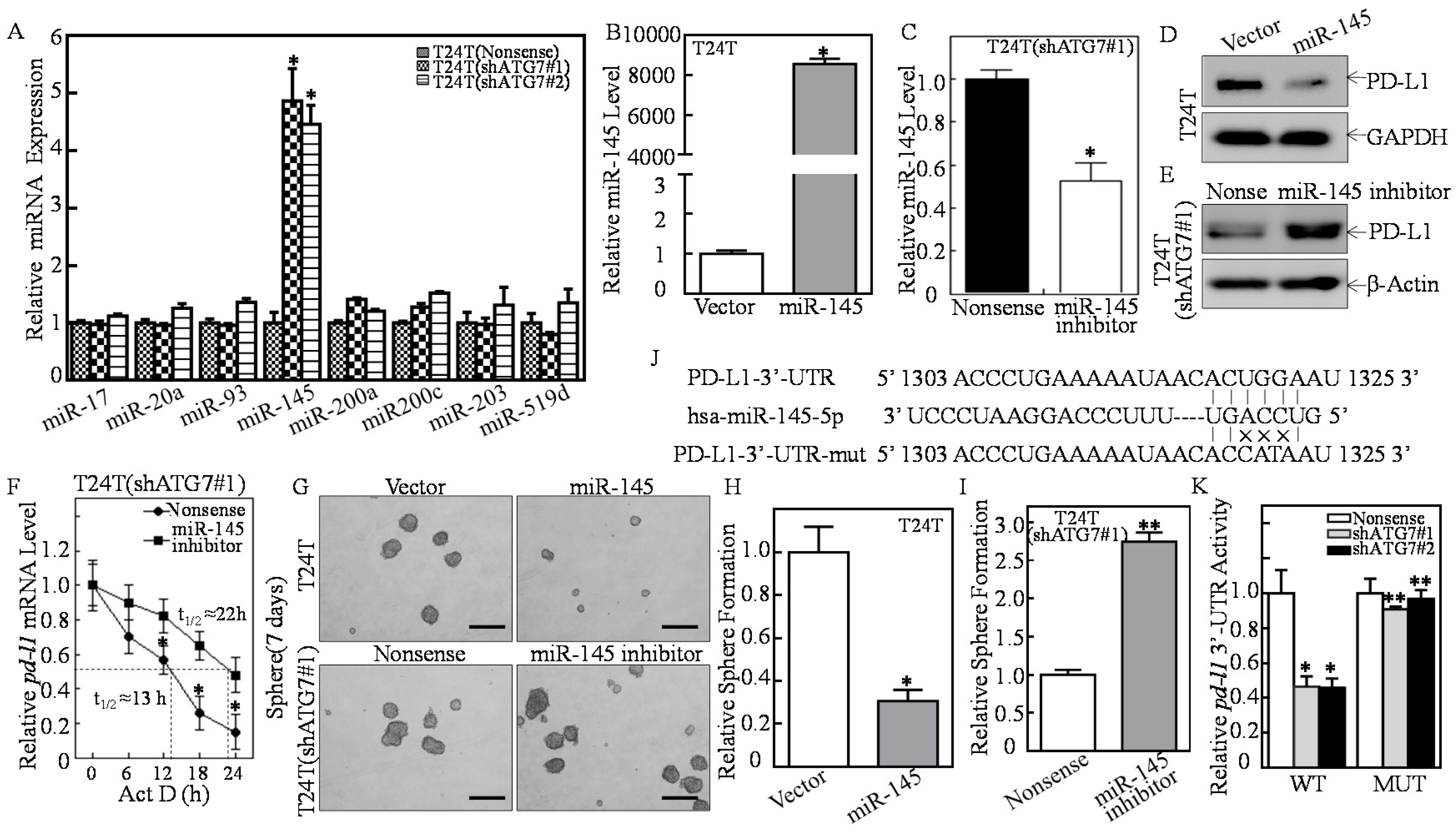 Cancers 11 00349 g003 Cancers 11 00349 g003