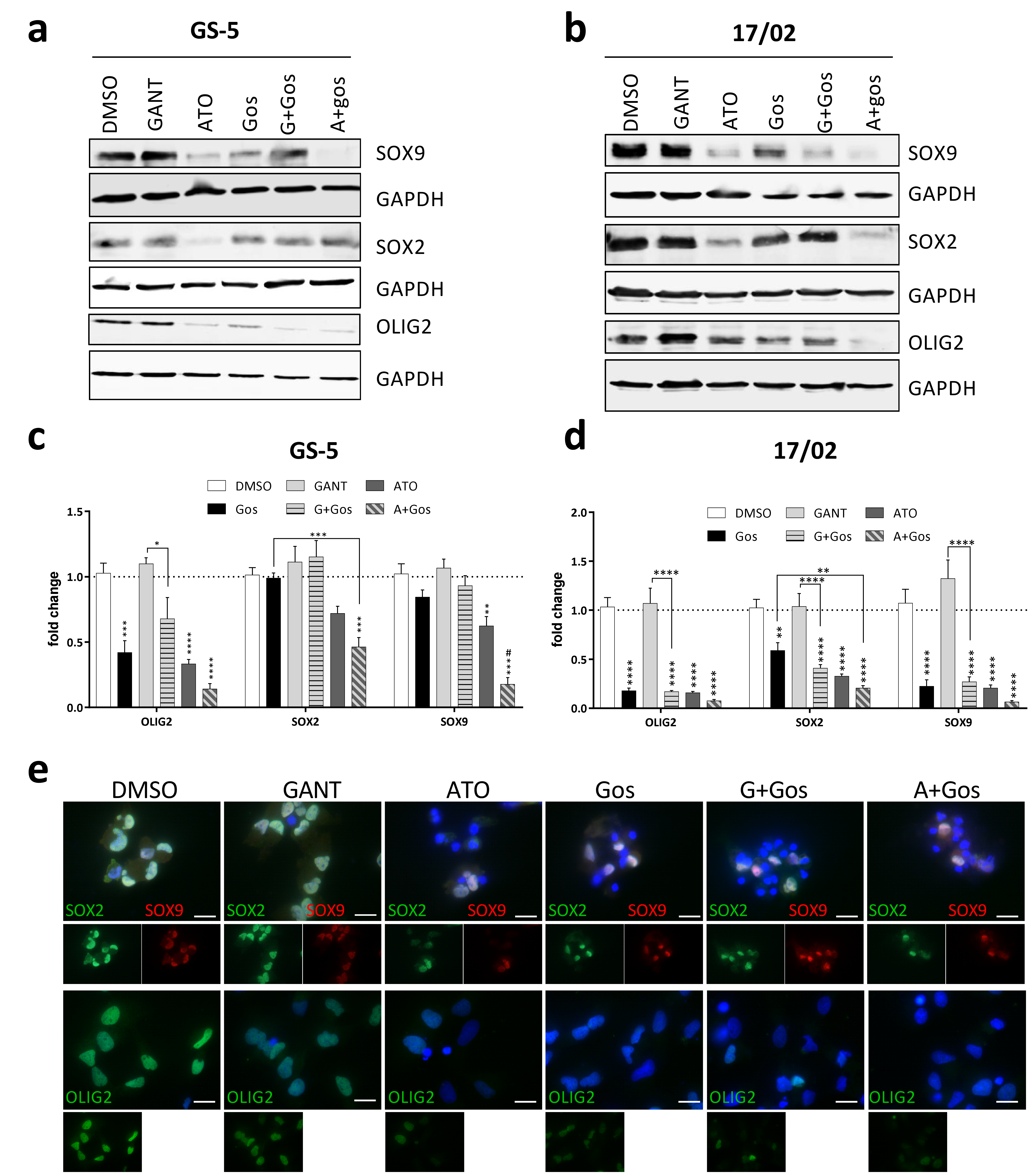 Cancers 11 00350 g003a
