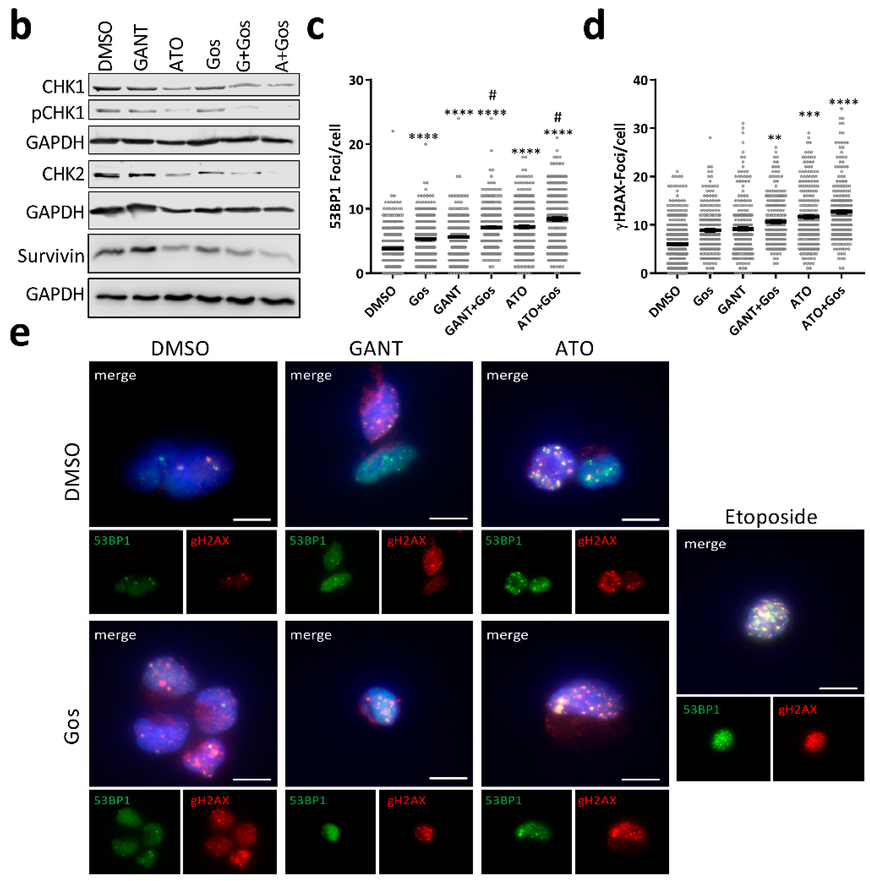 Cancers 11 00350 g004b
