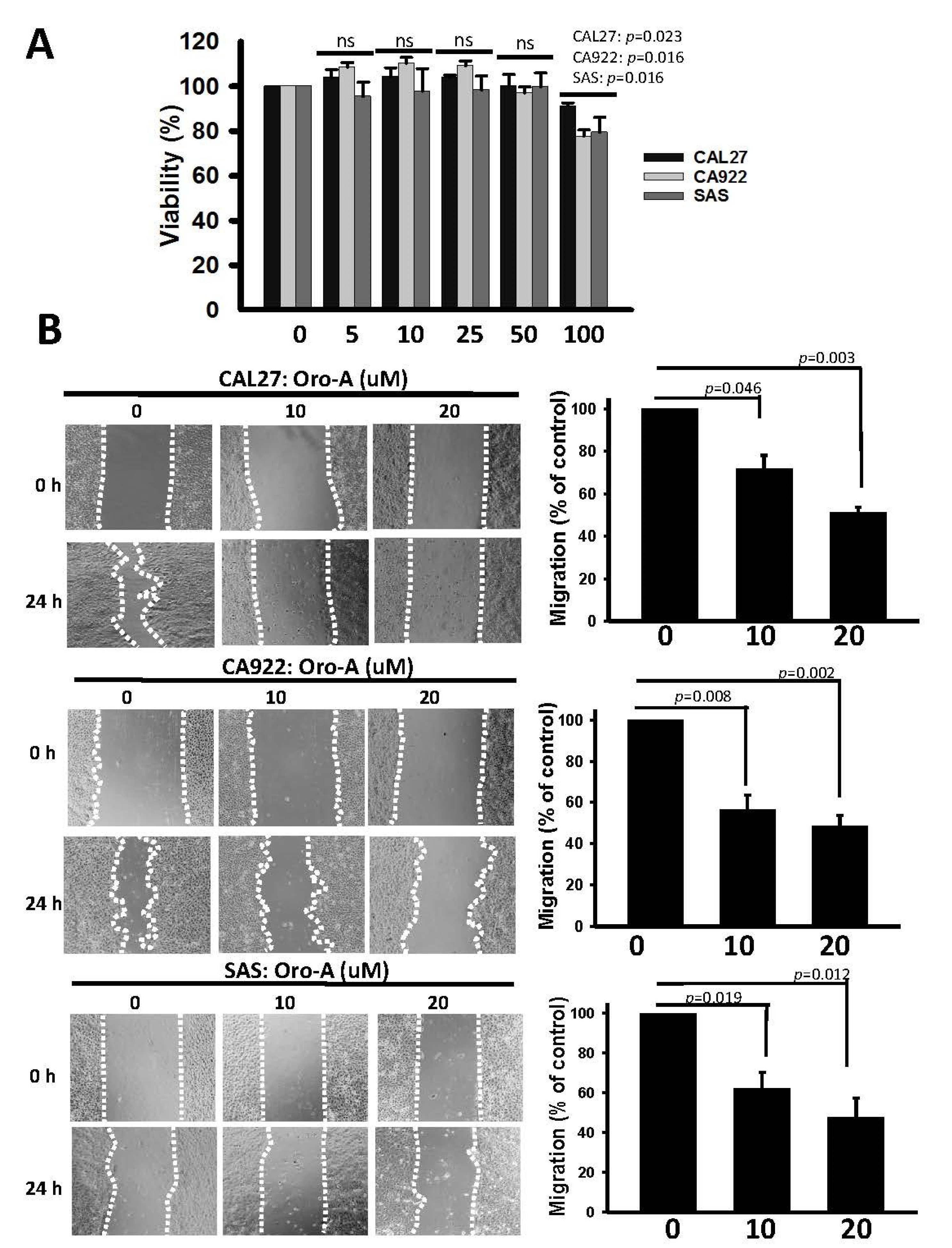 Cancers 11 00353 g001