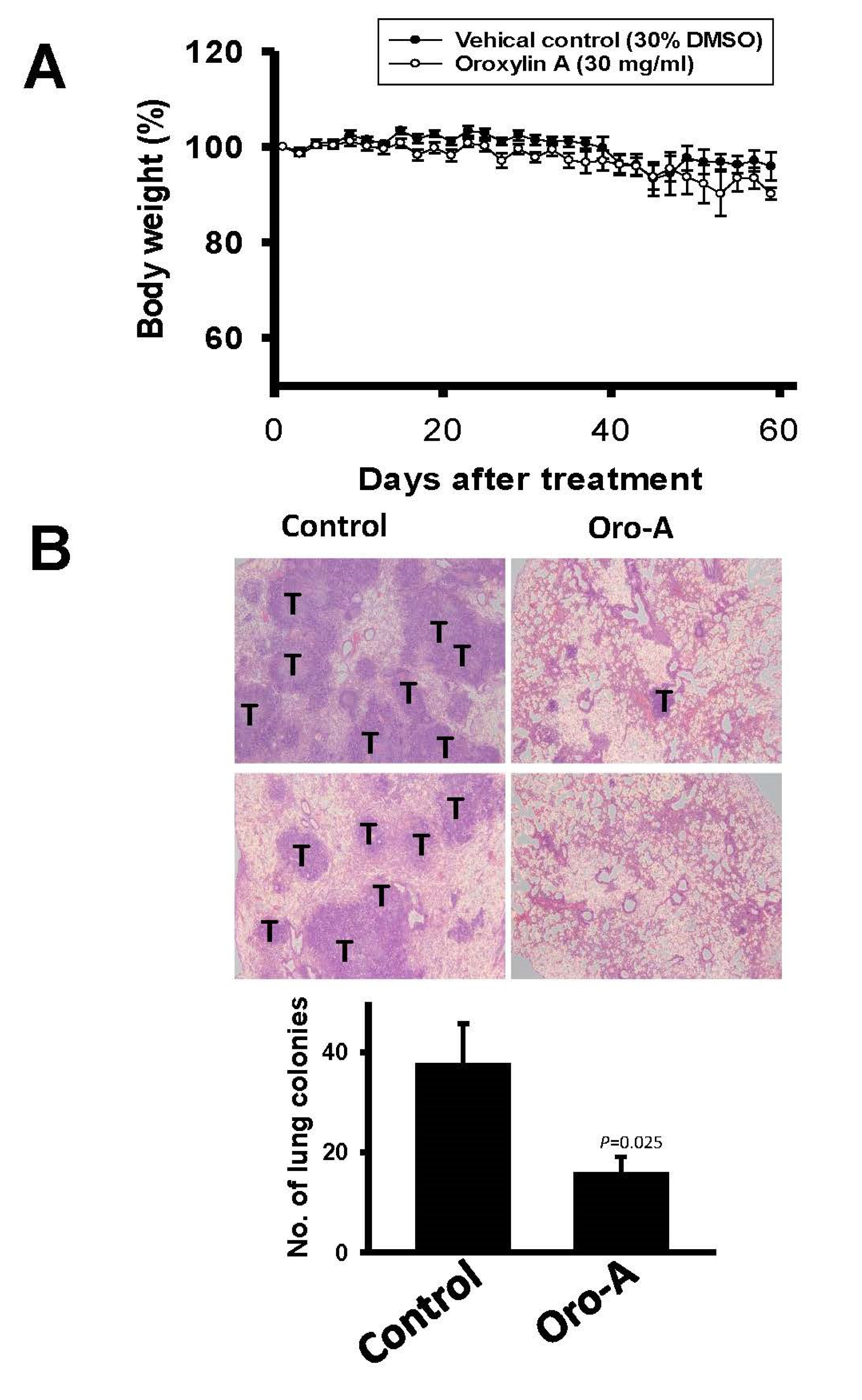 Cancers 11 00353 g008