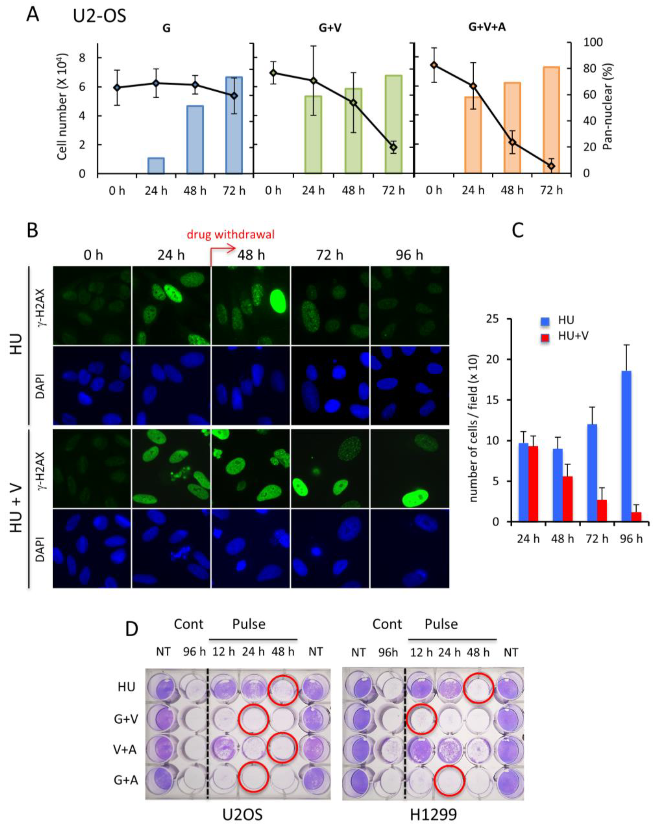 Cancers 11 00355 g006 Cancers 11 00355 g006