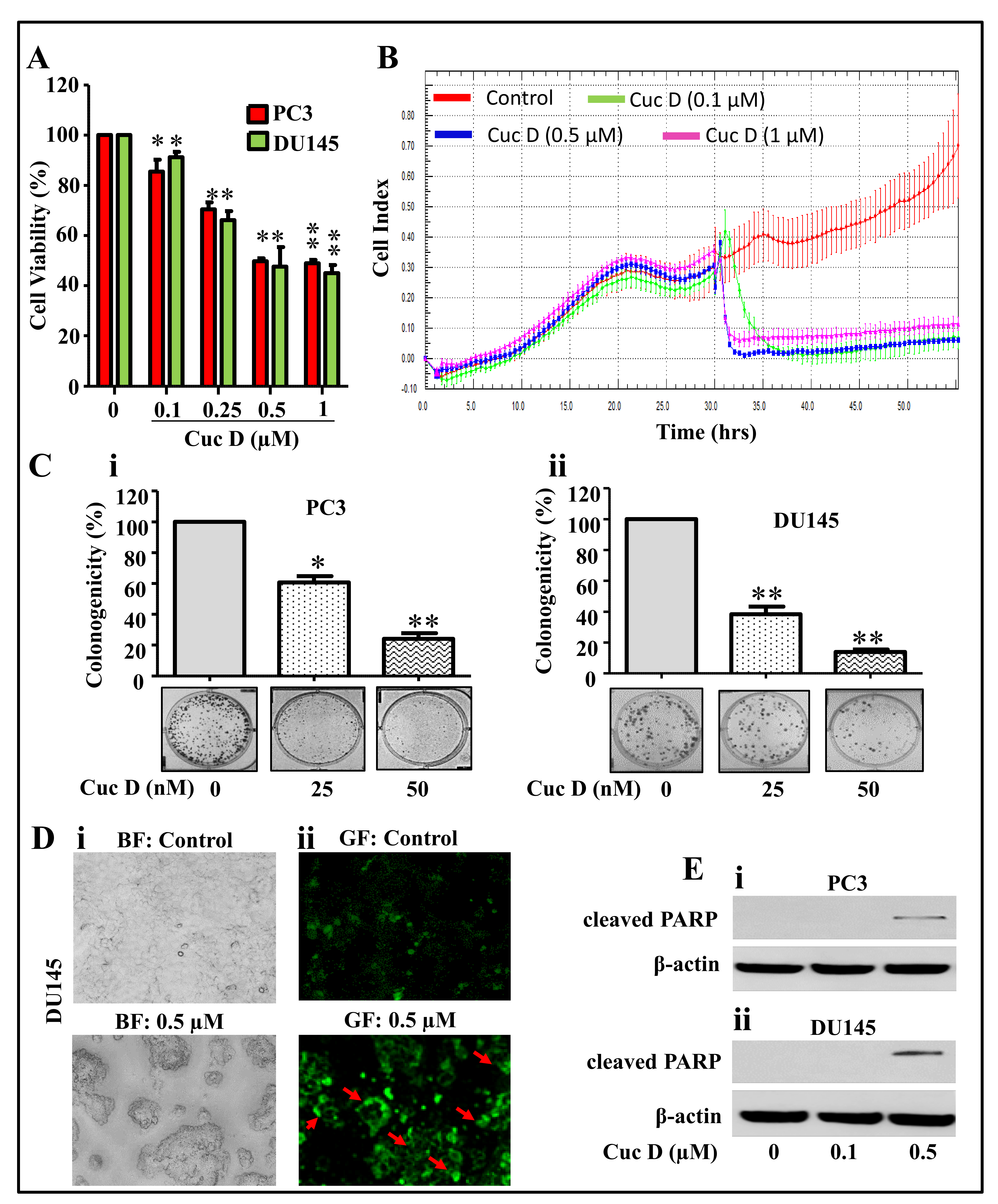 Cancers 11 00364 g001