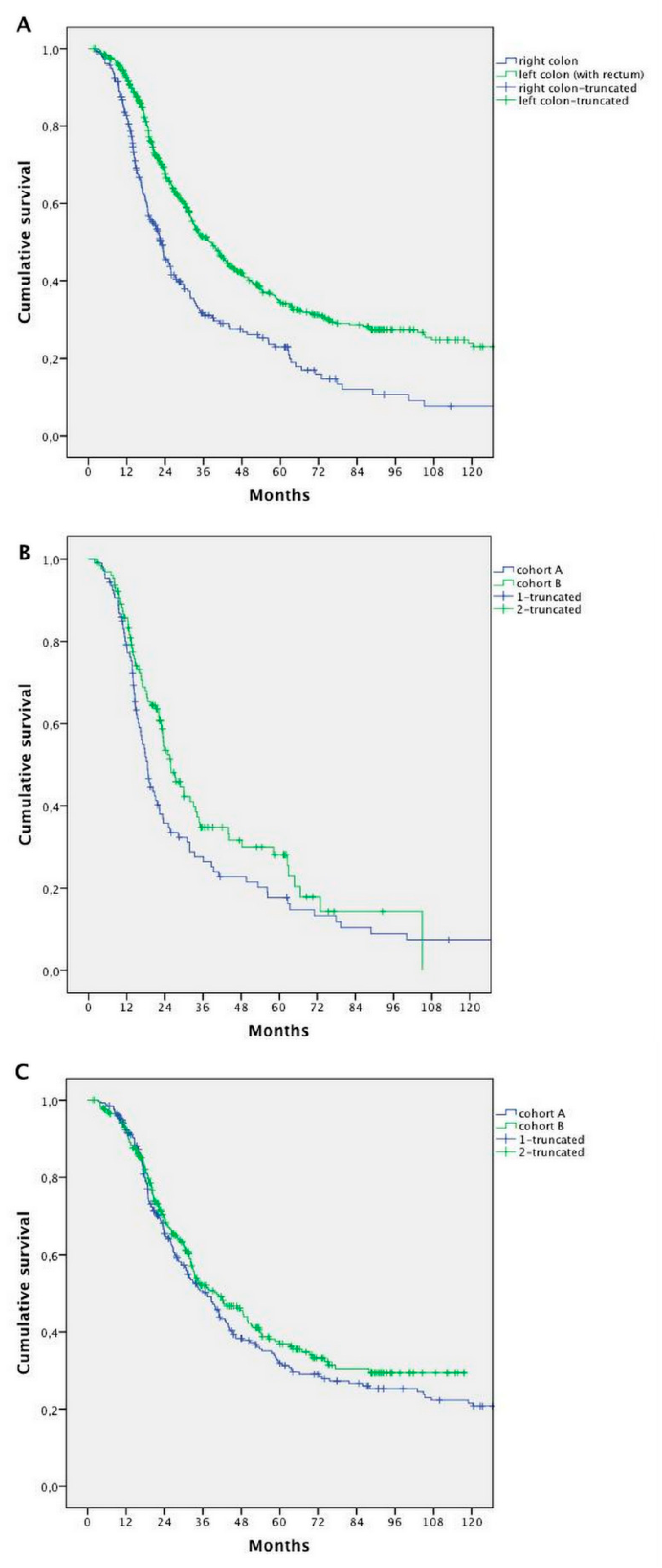Cancers 11 00369 g004