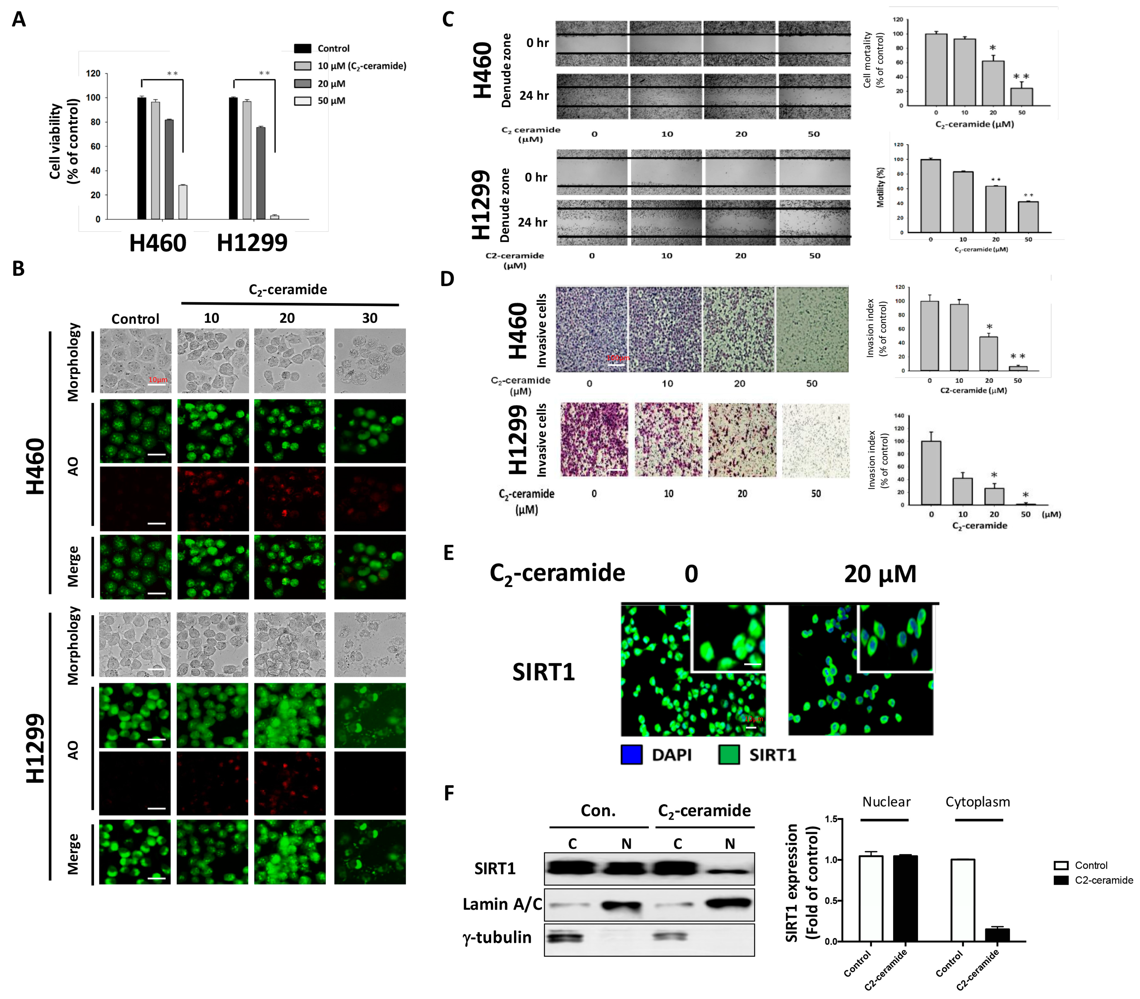 Cancers 11 00370 g001