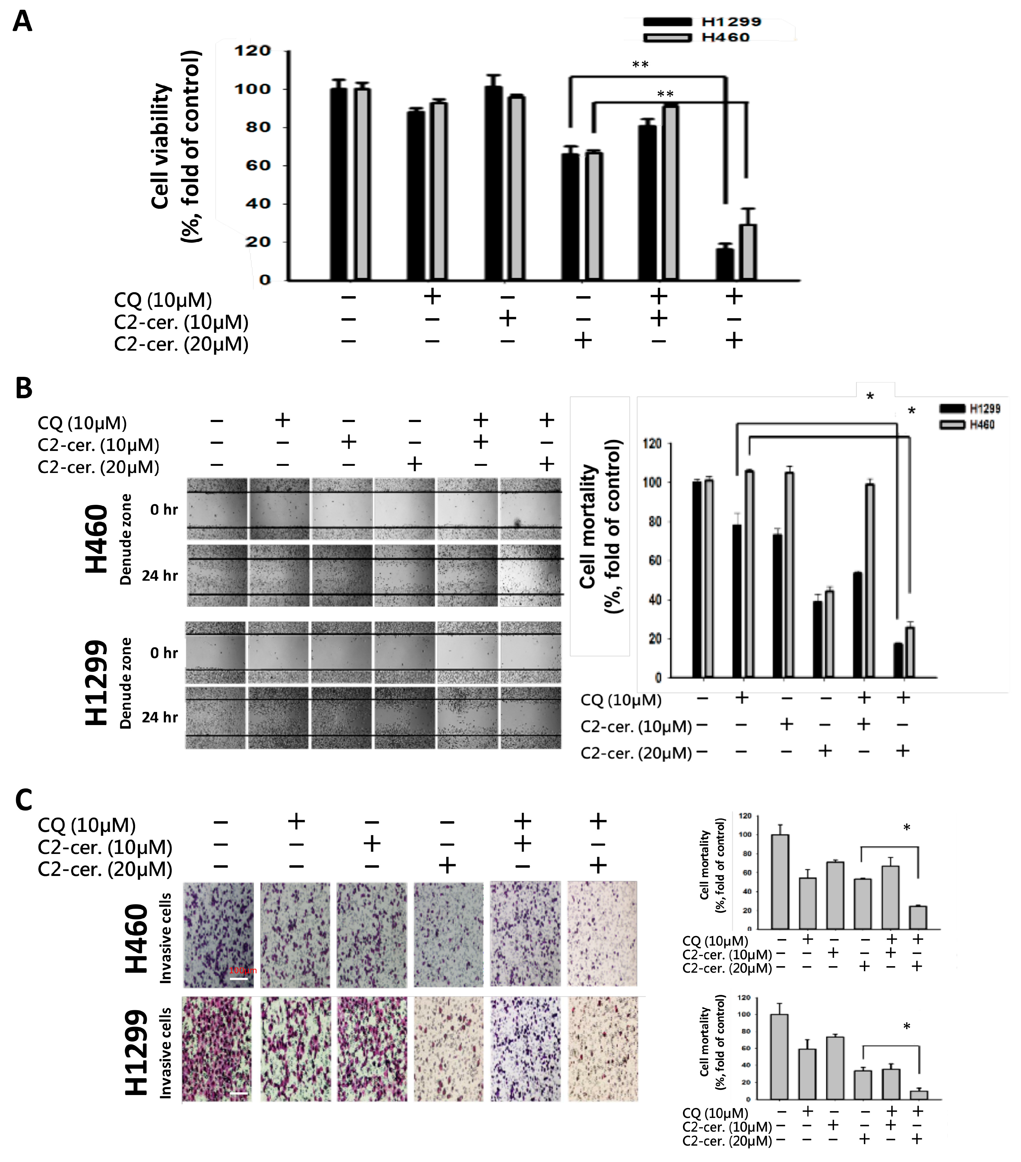 Cancers 11 00370 g002
