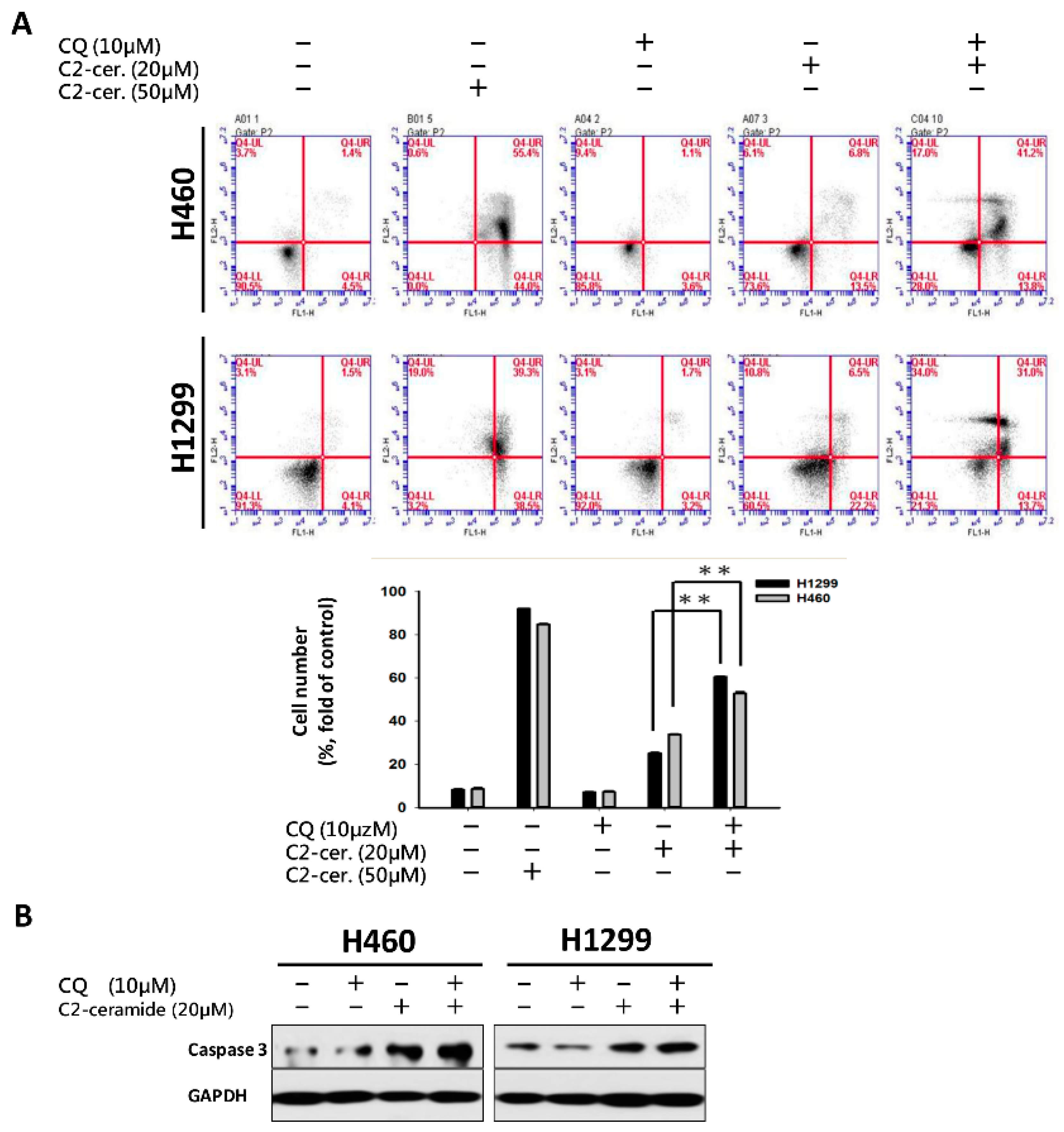 Cancers 11 00370 g003