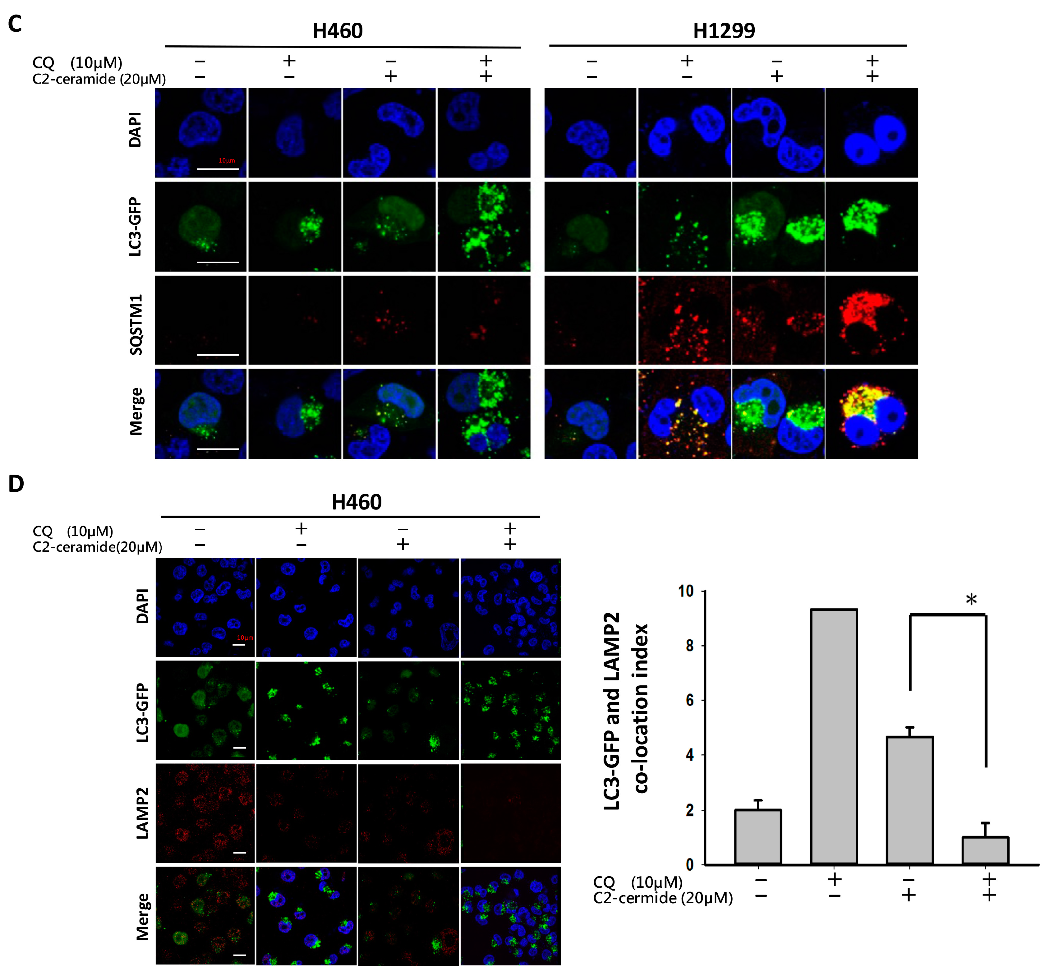 Cancers 11 00370 g004b