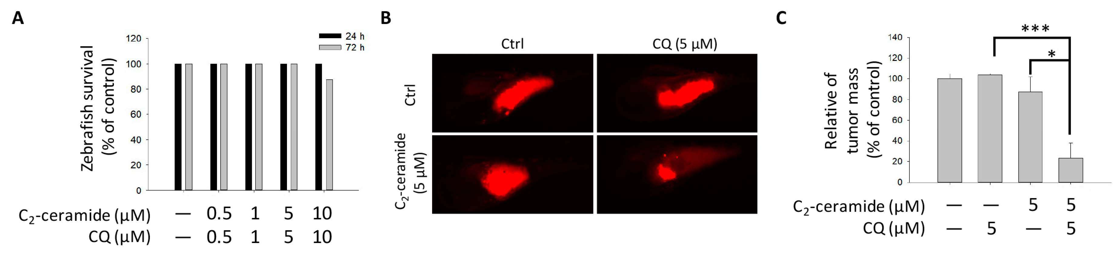 Cancers 11 00370 g005