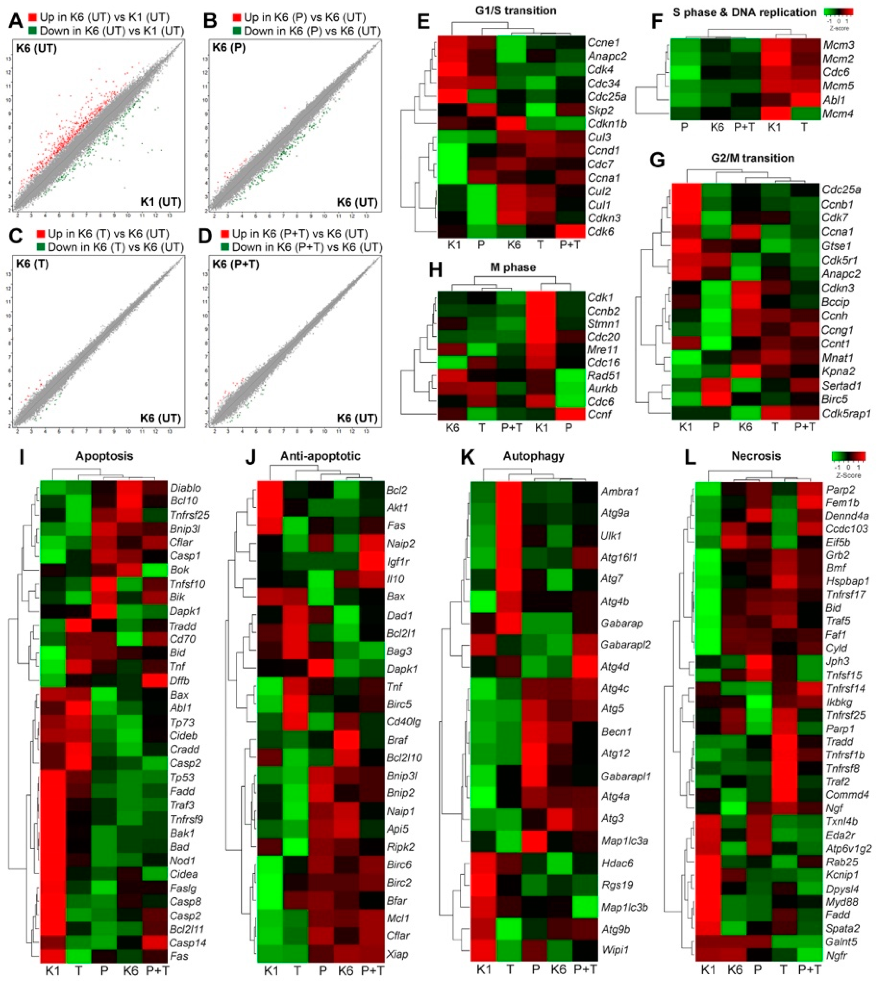 Cancers 11 00375 g005