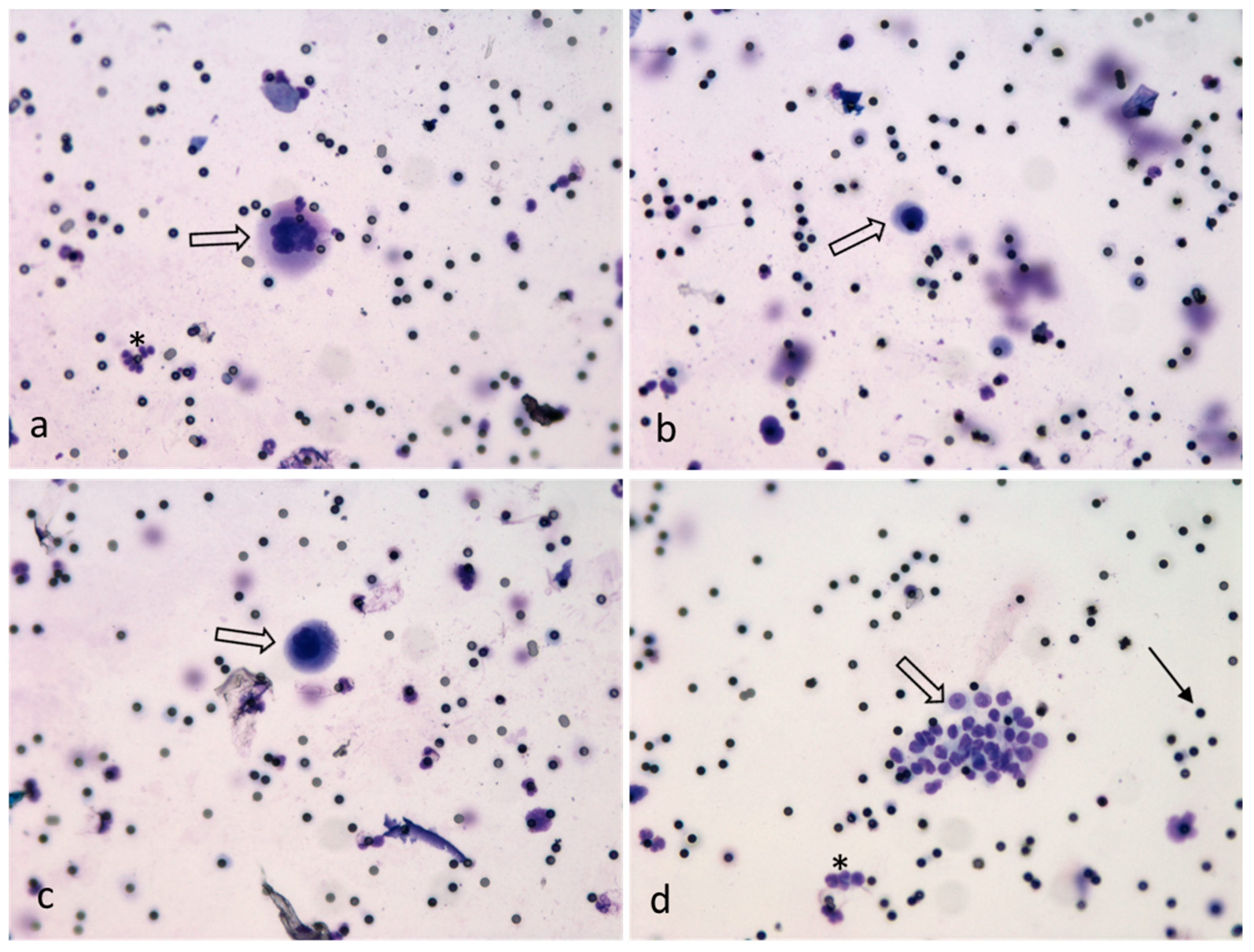 Cancers 11 00397 g003