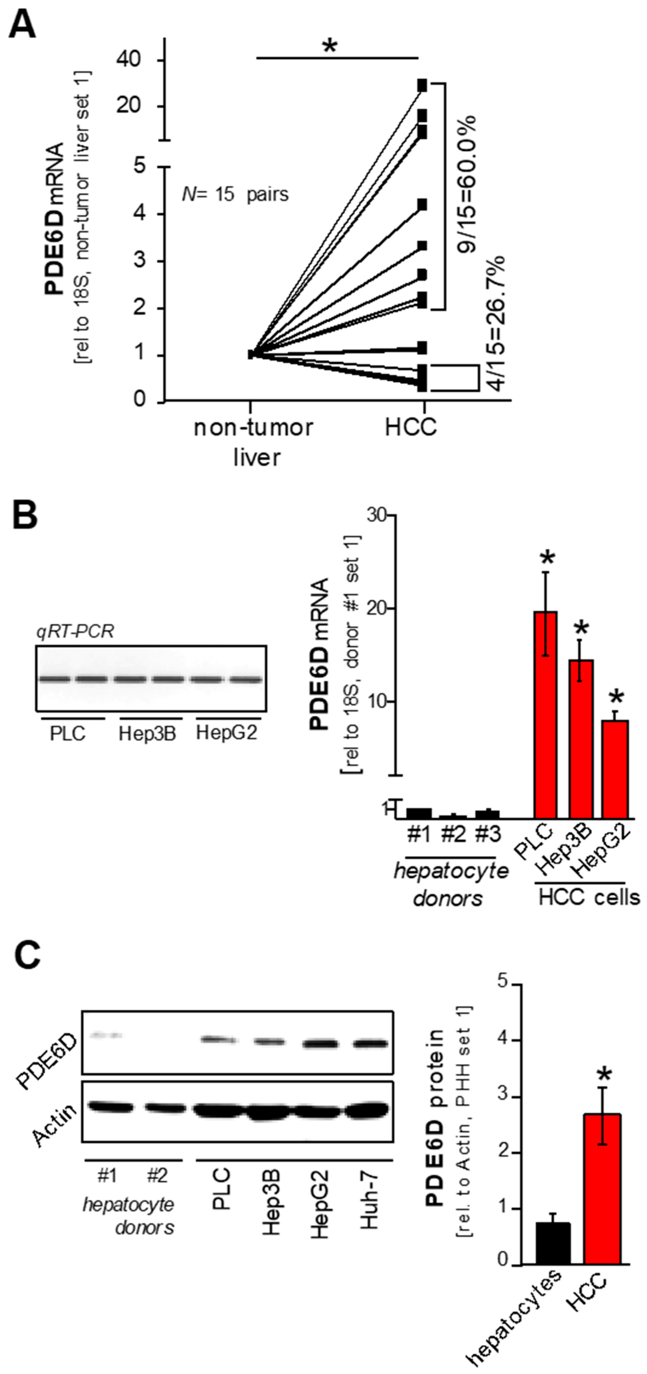 Cancers 11 00398 g002 Cancers 11 00398 g002