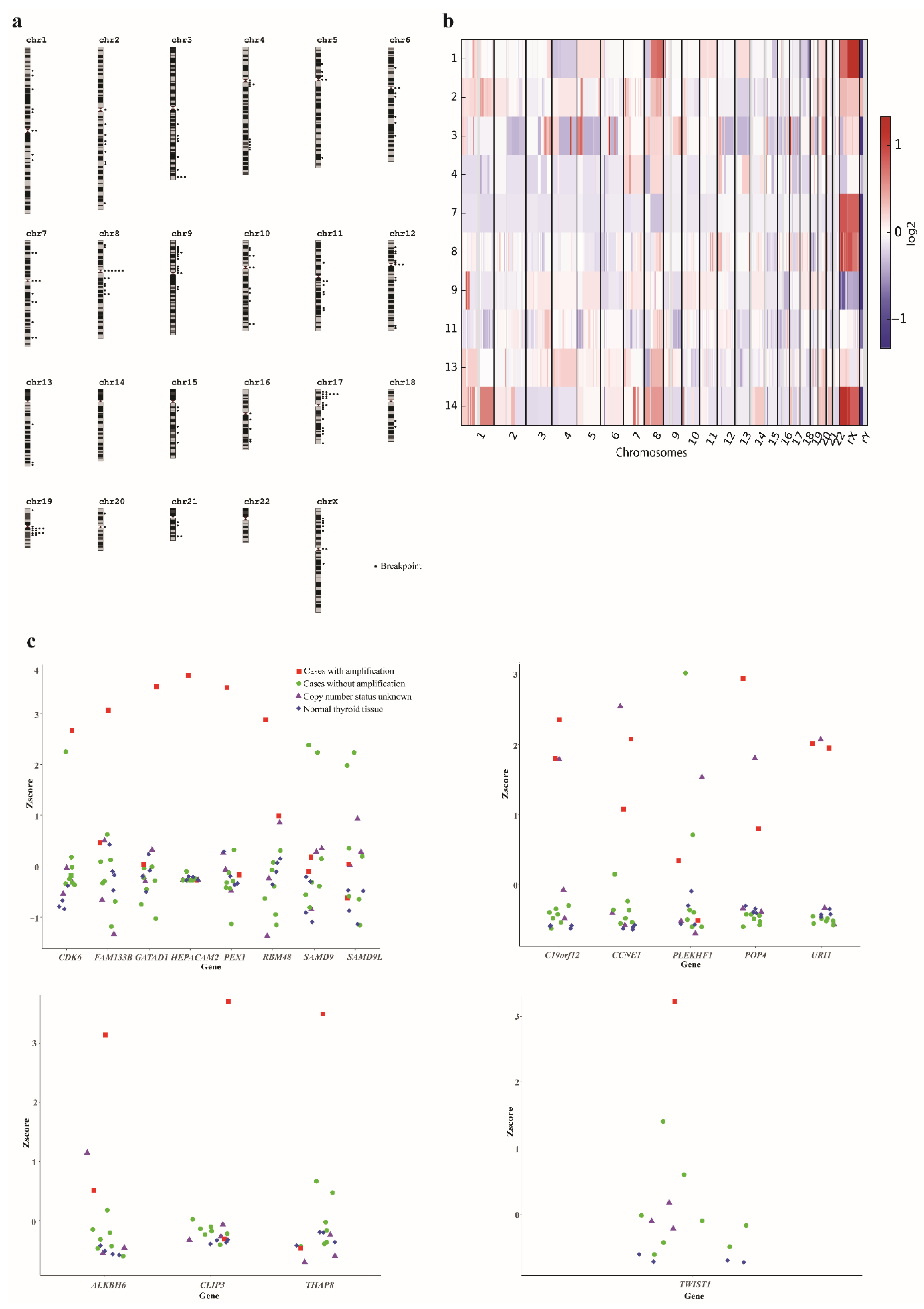 Cancers 11 00402 g001