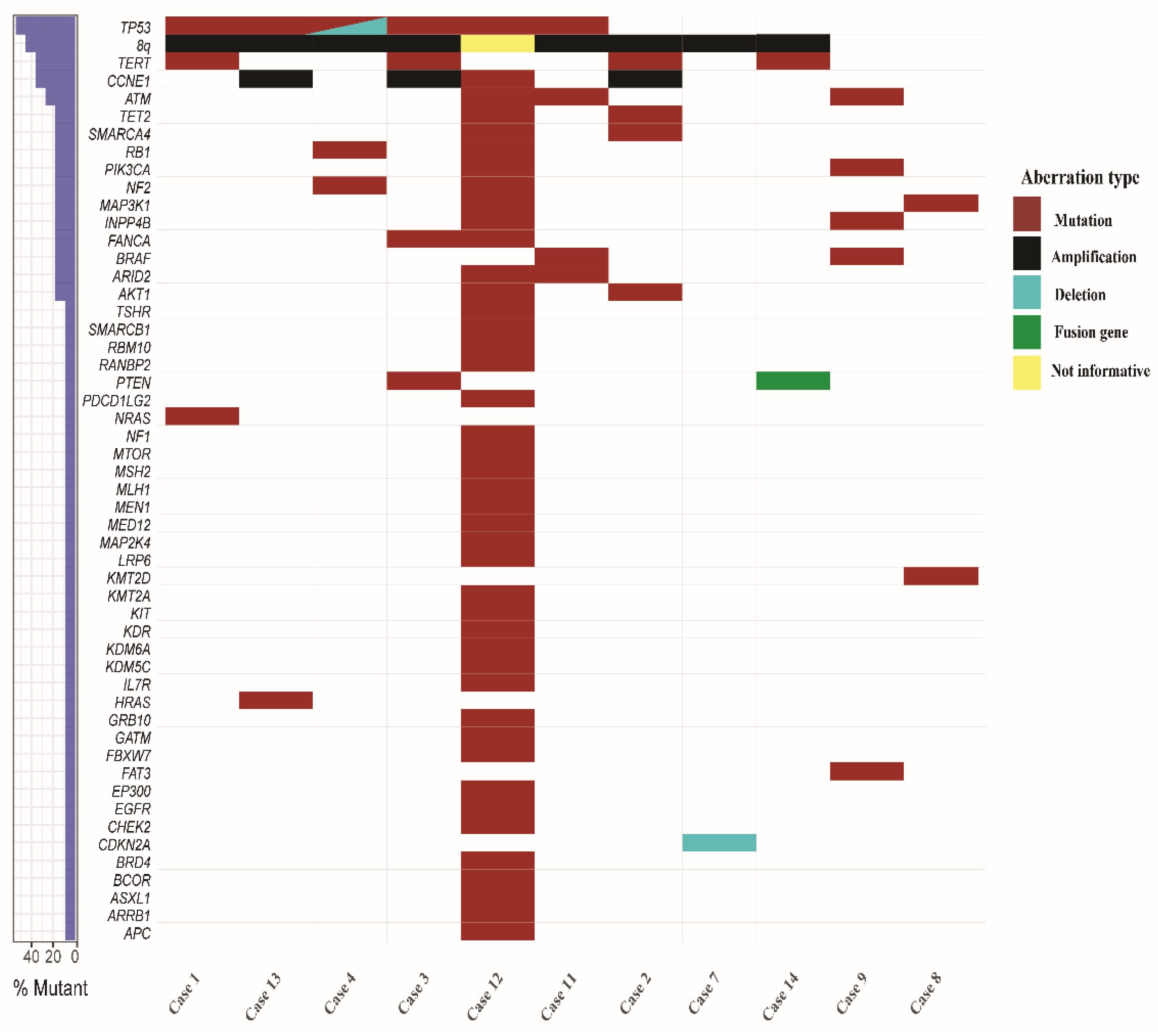 Cancers 11 00402 g002