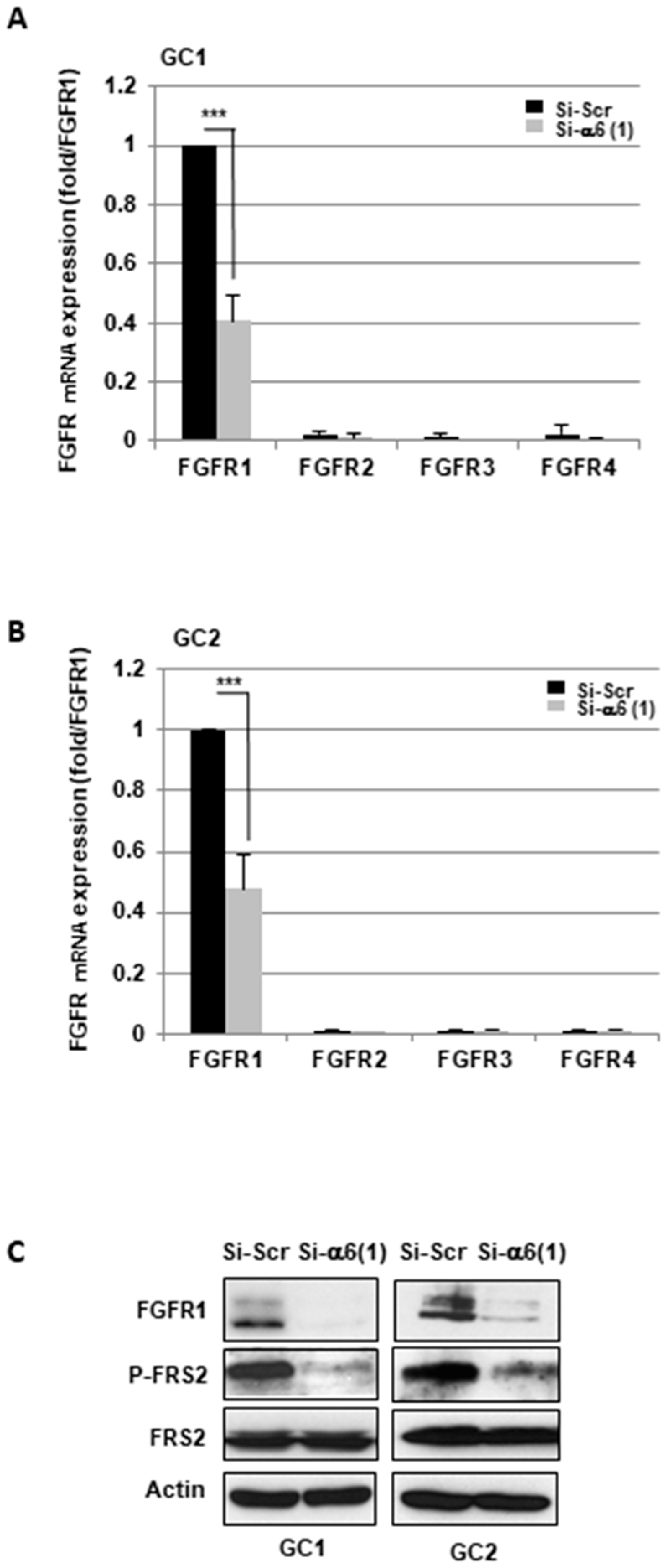 Cancers 11 00406 g001 Cancers 11 00406 g001