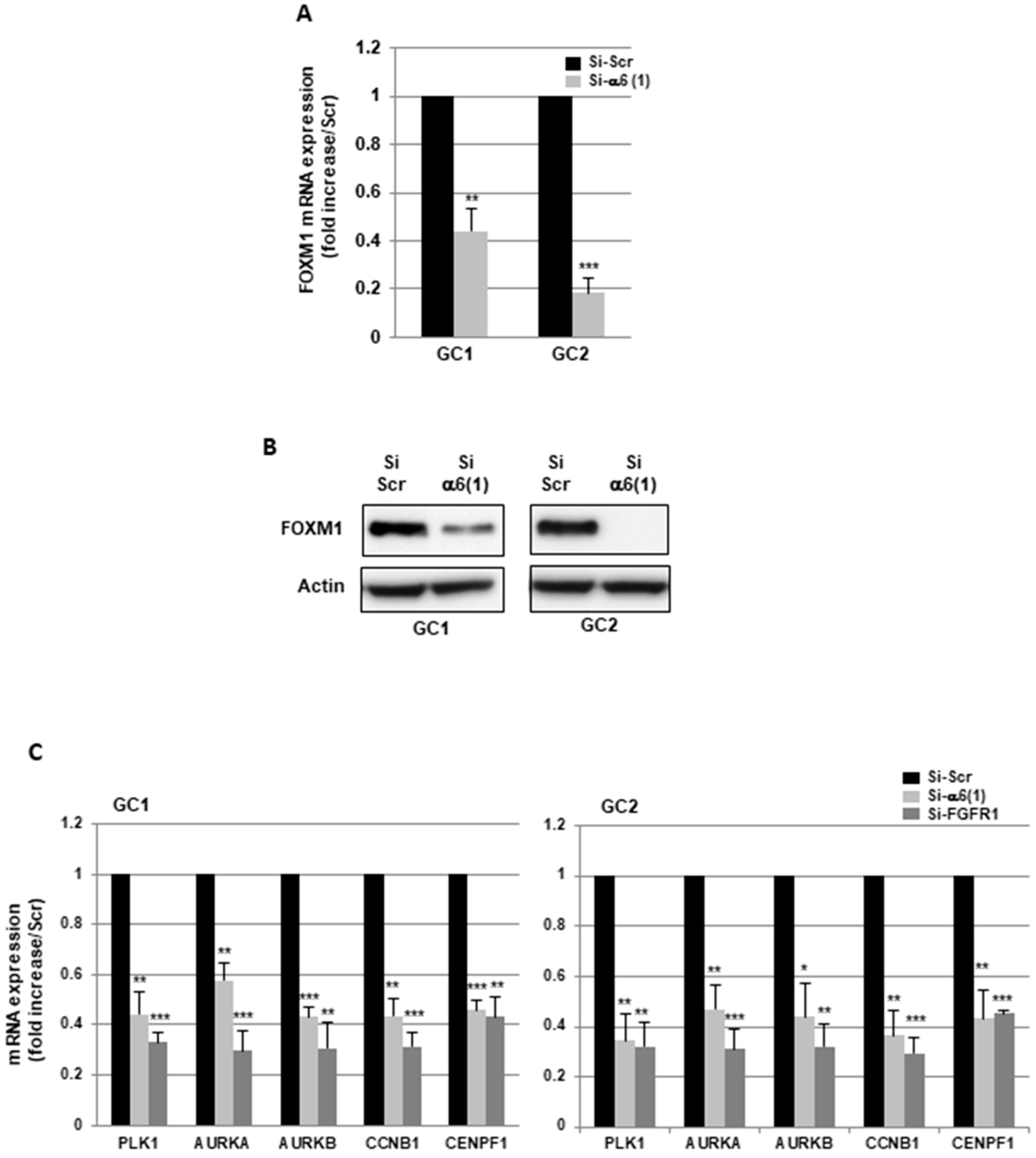 Cancers 11 00406 g002 Cancers 11 00406 g002