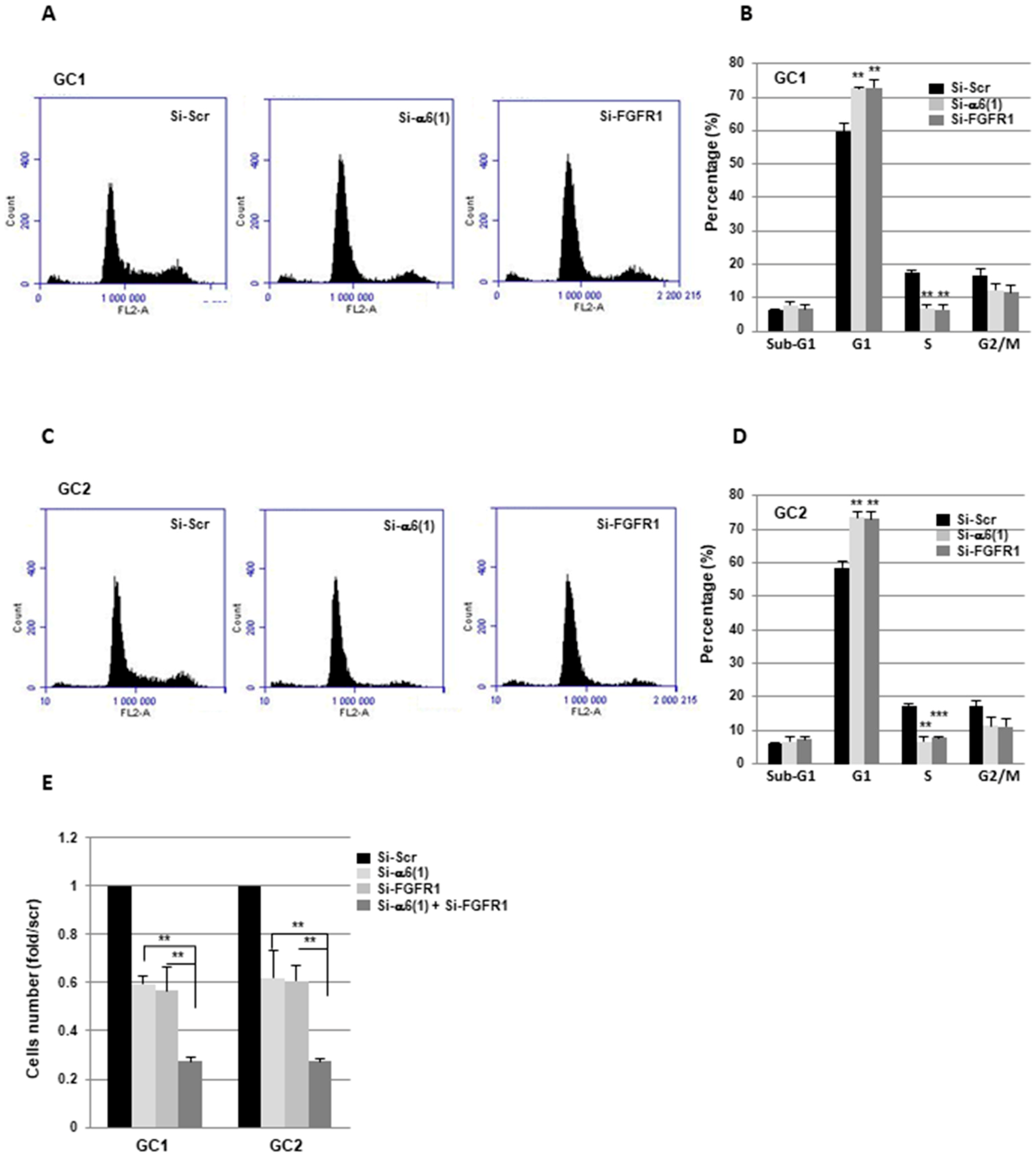Cancers 11 00406 g004 Cancers 11 00406 g004
