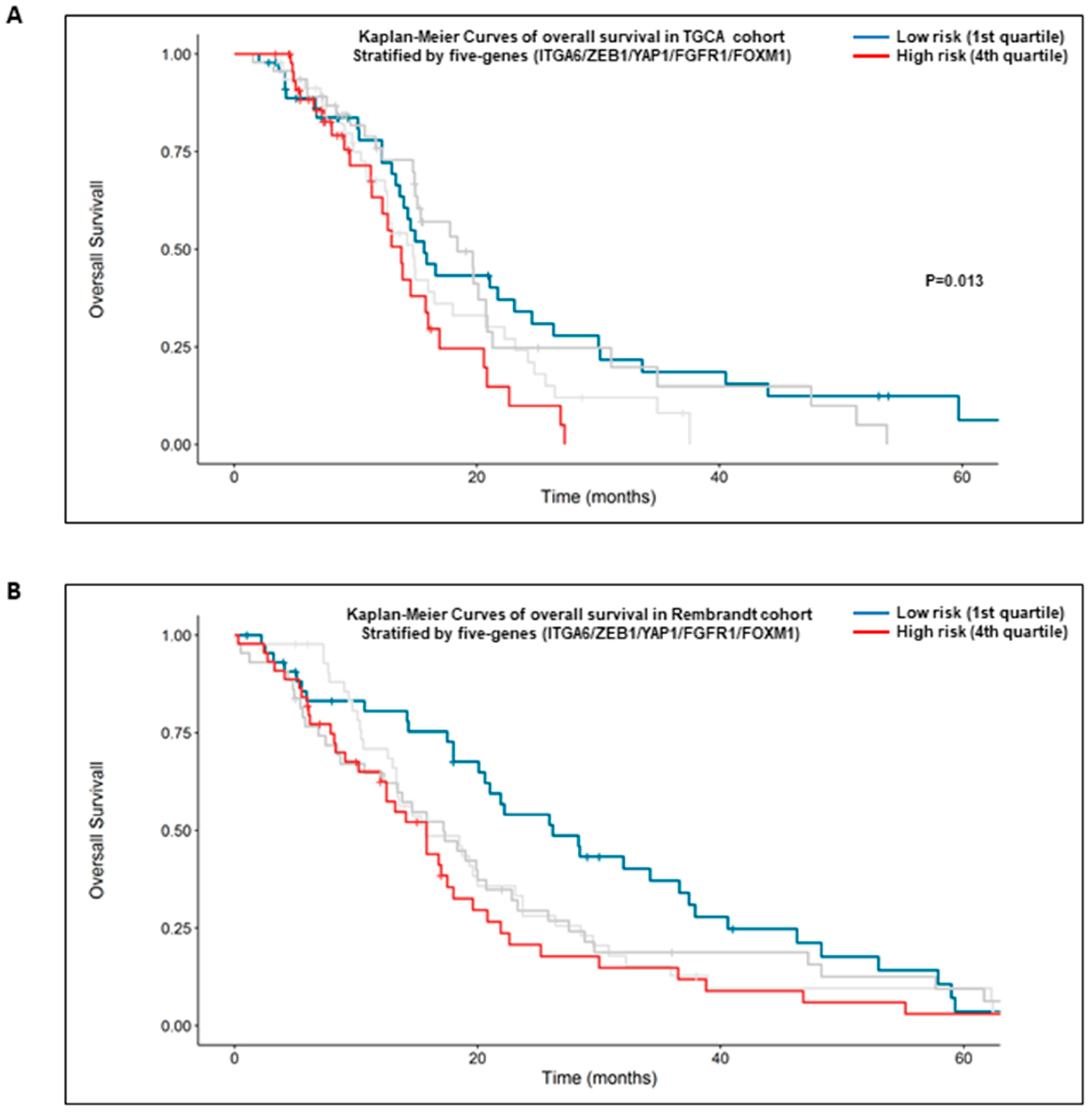 Cancers 11 00406 g007 Cancers 11 00406 g007