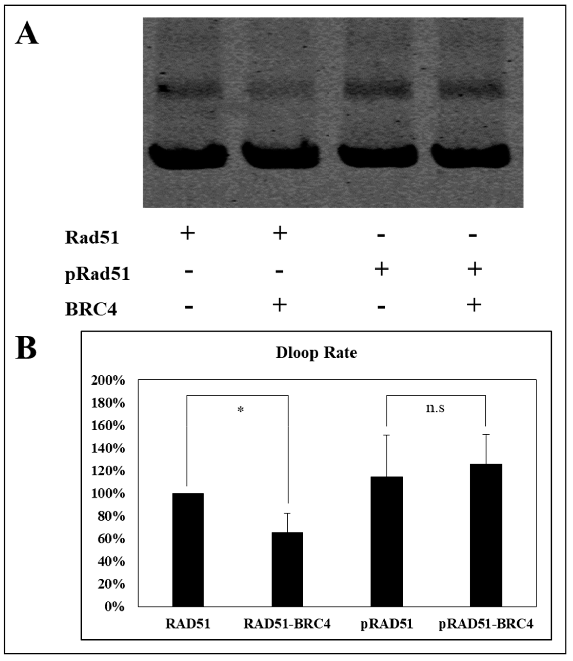 Cancers 11 00413 g008