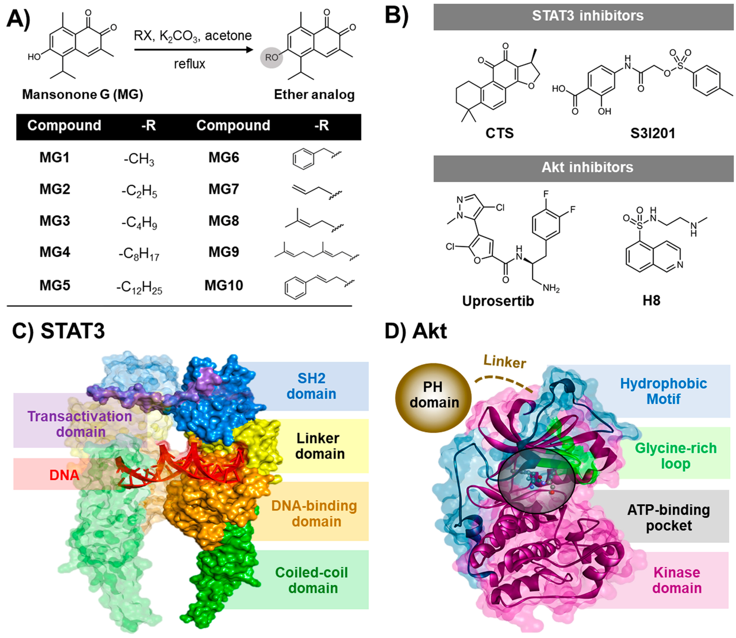 Cancers 11 00437 g001